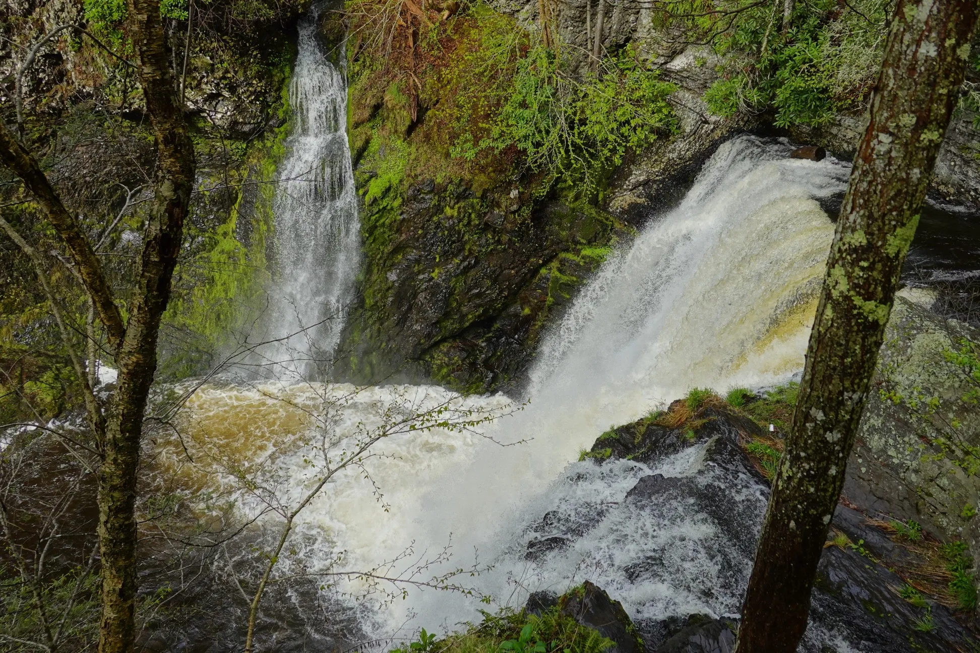 Raymondskill Falls
