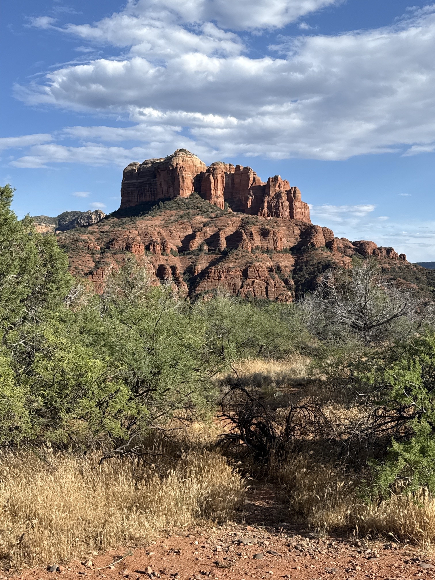 Secret Slickrock Trail