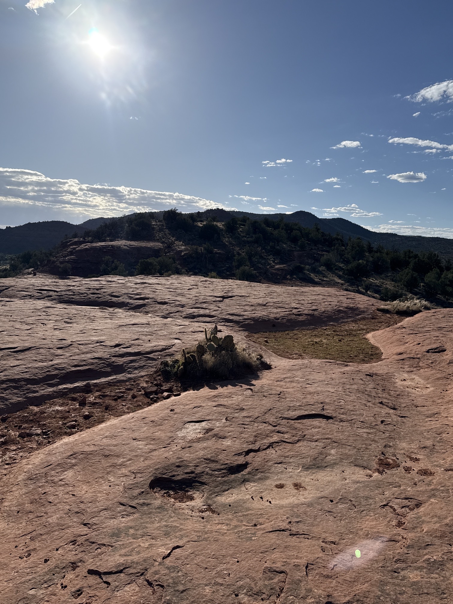 Secret Slickrock Trail