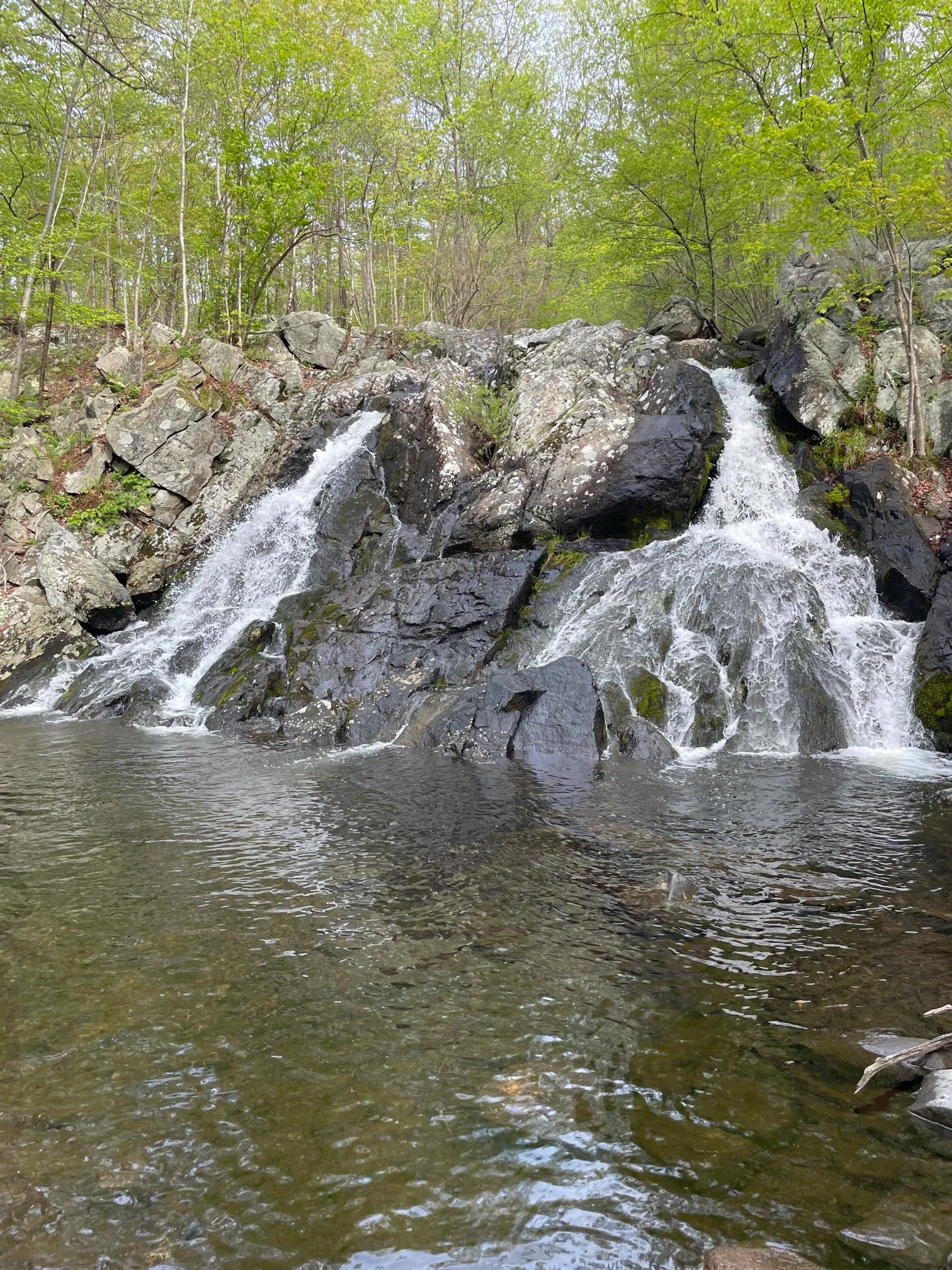Norvin Green State Forest Loop