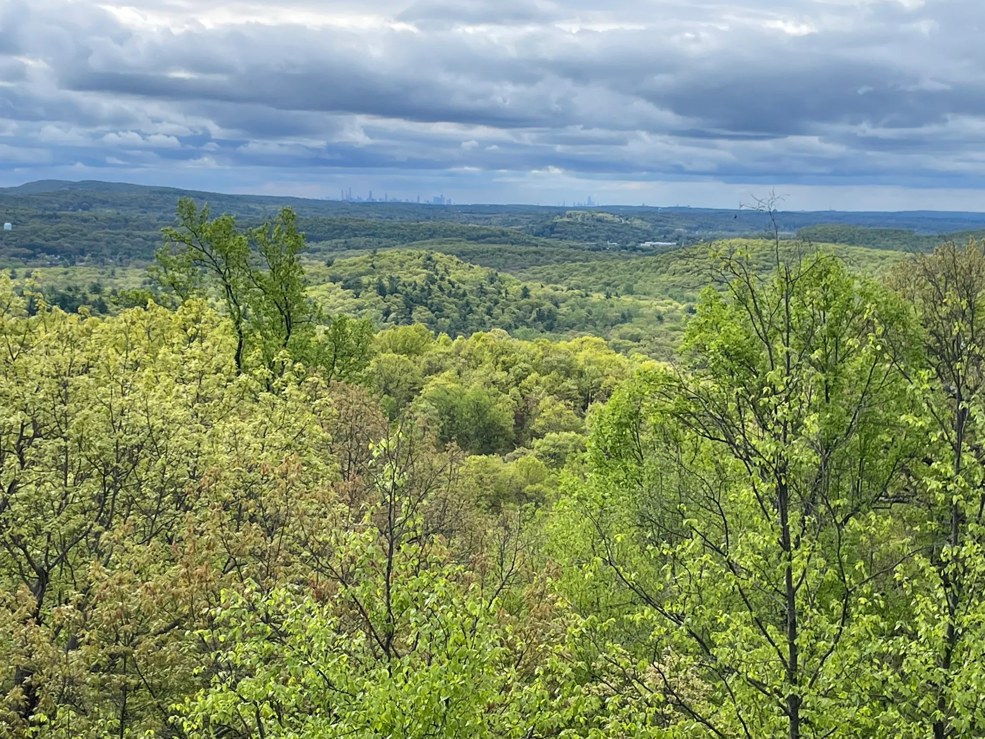 Norvin Green State Forest Loop