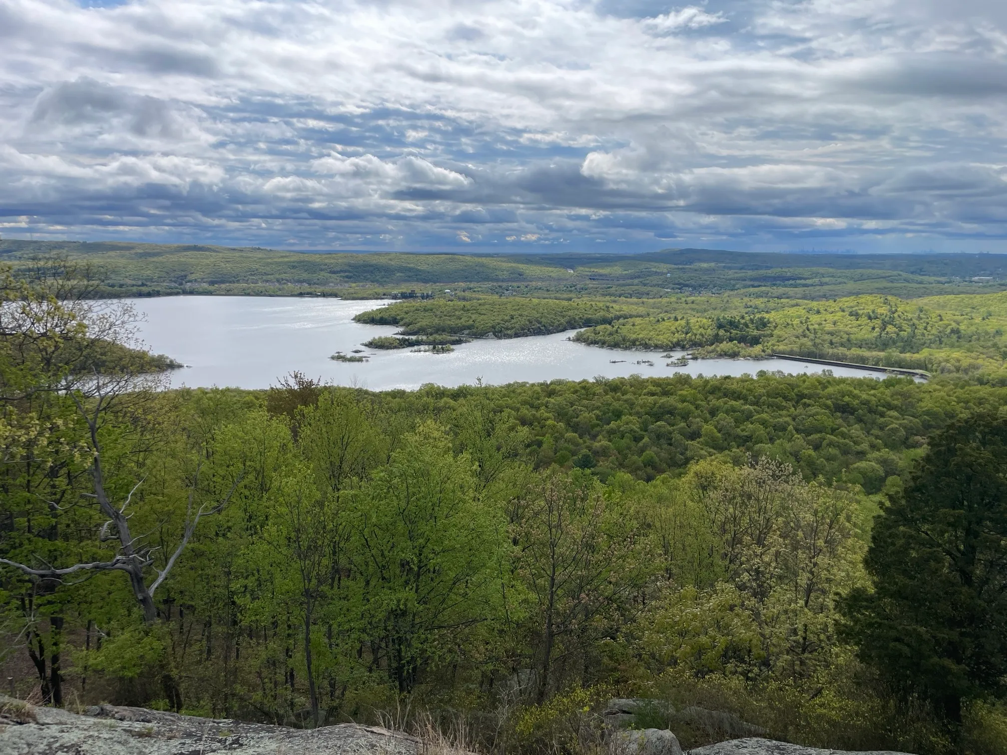 Norvin Green State Forest Loop