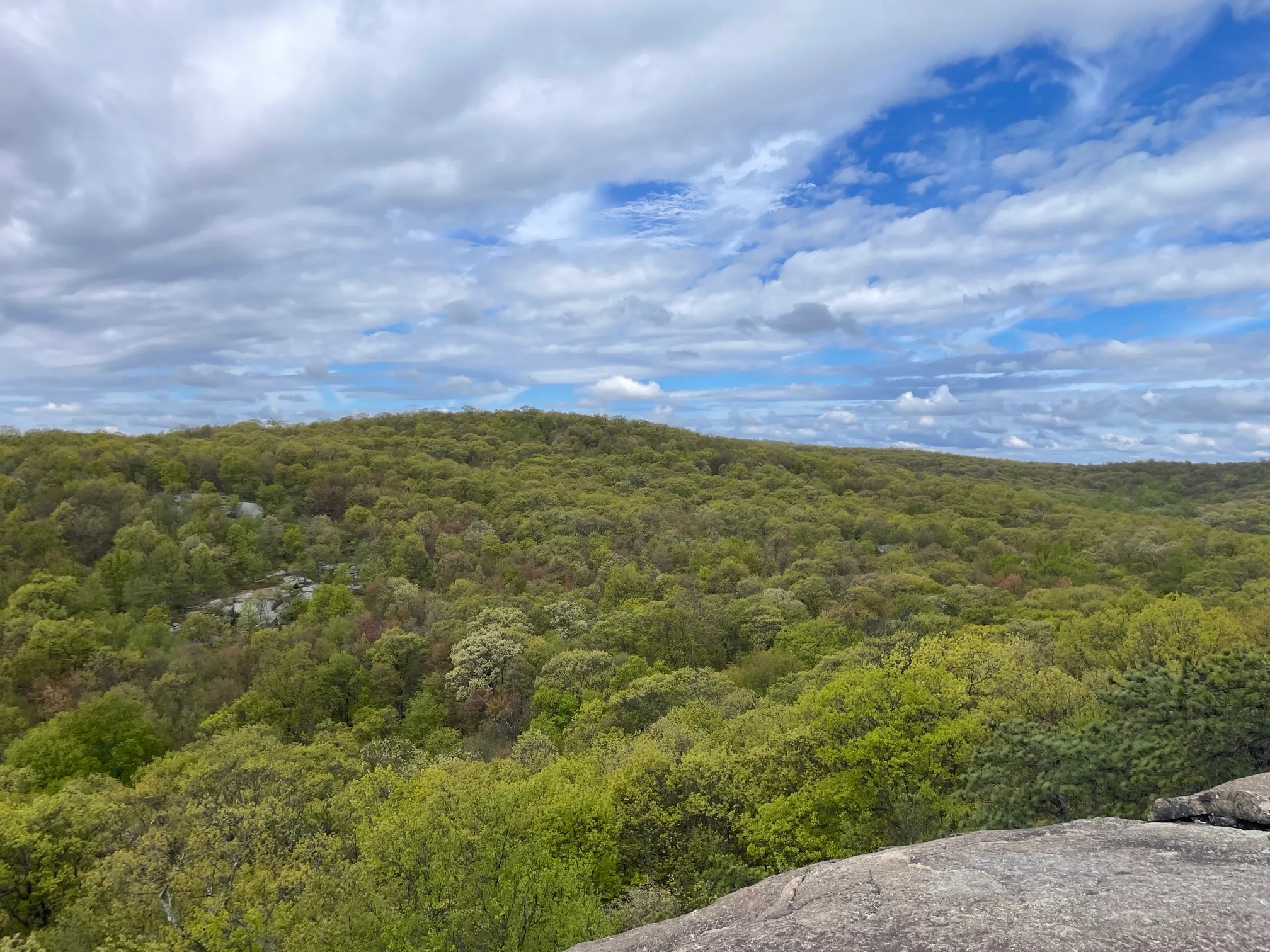 Norvin Green State Forest Loop
