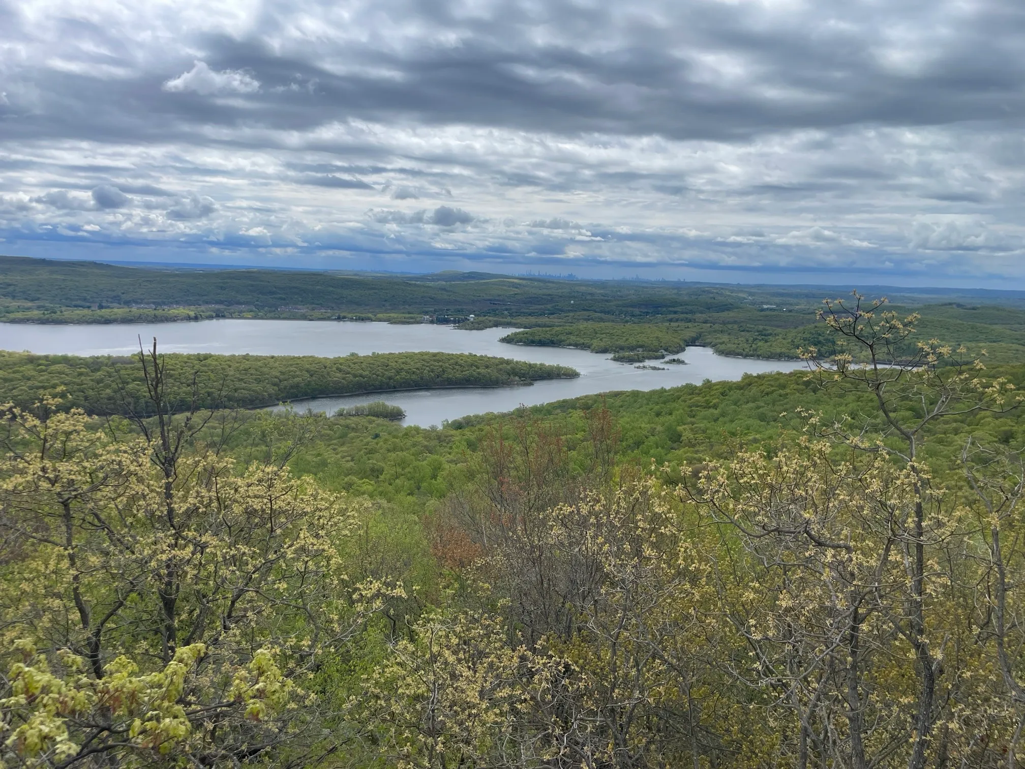 Norvin Green State Forest Loop