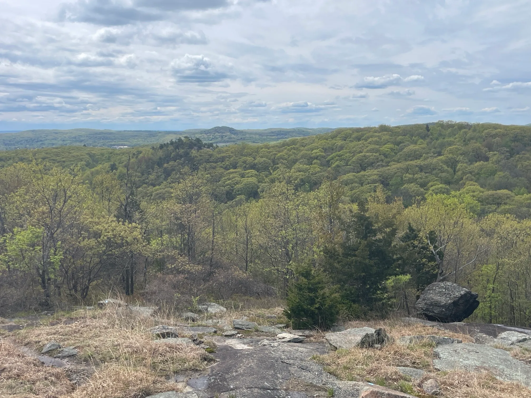 Norvin Green State Forest Loop