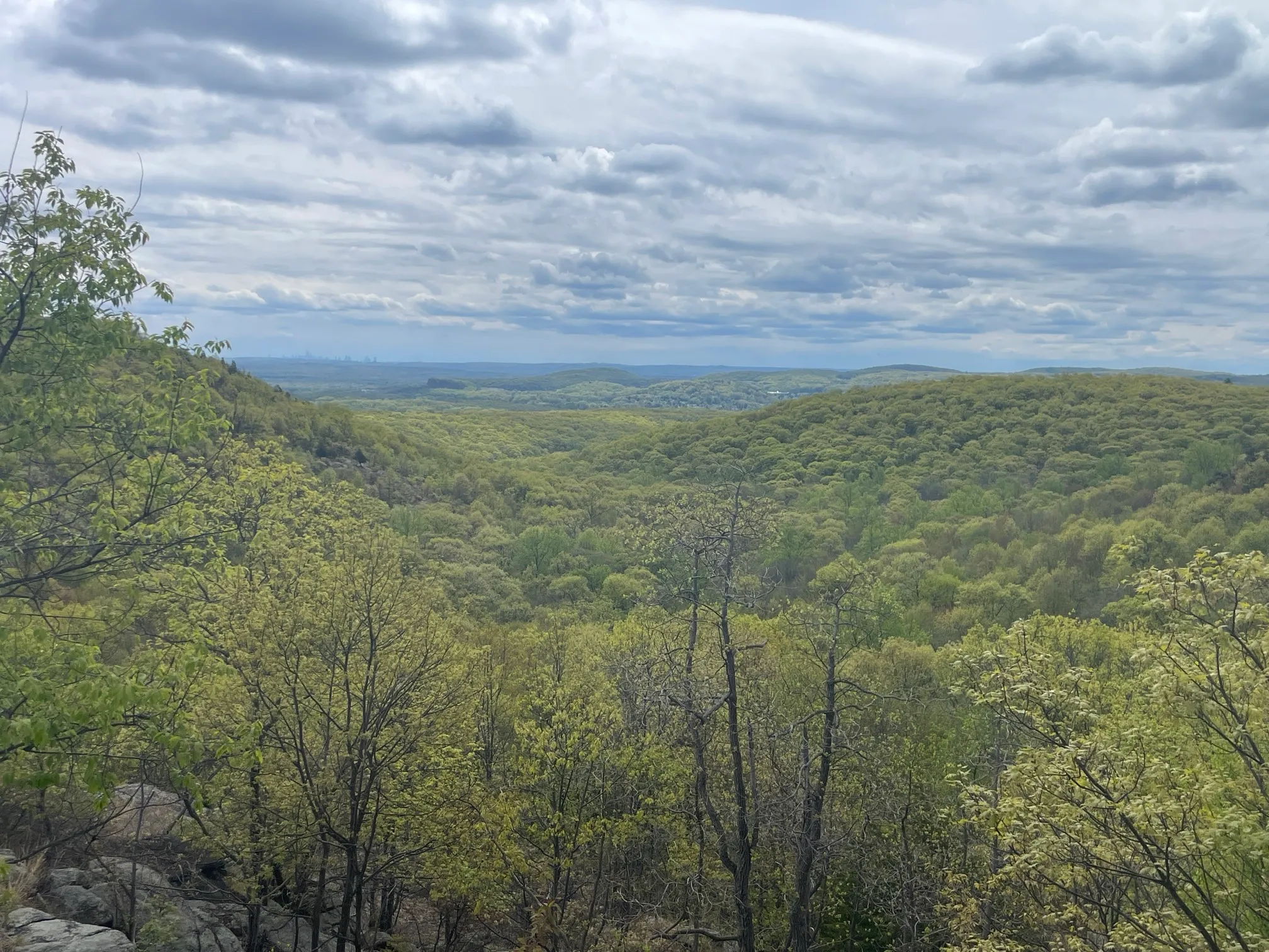 Norvin Green State Forest Loop