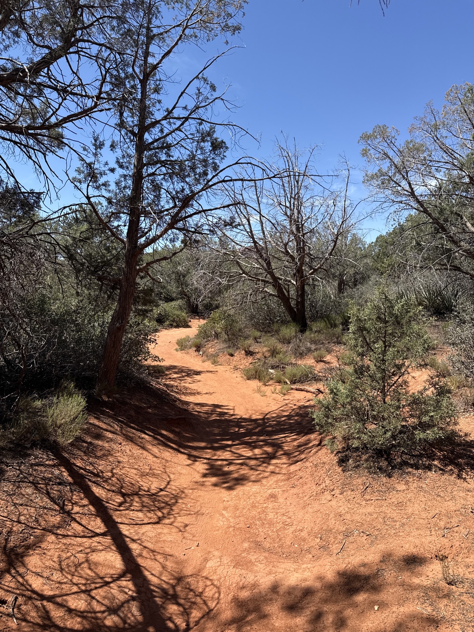 Boynton Canyon Trail