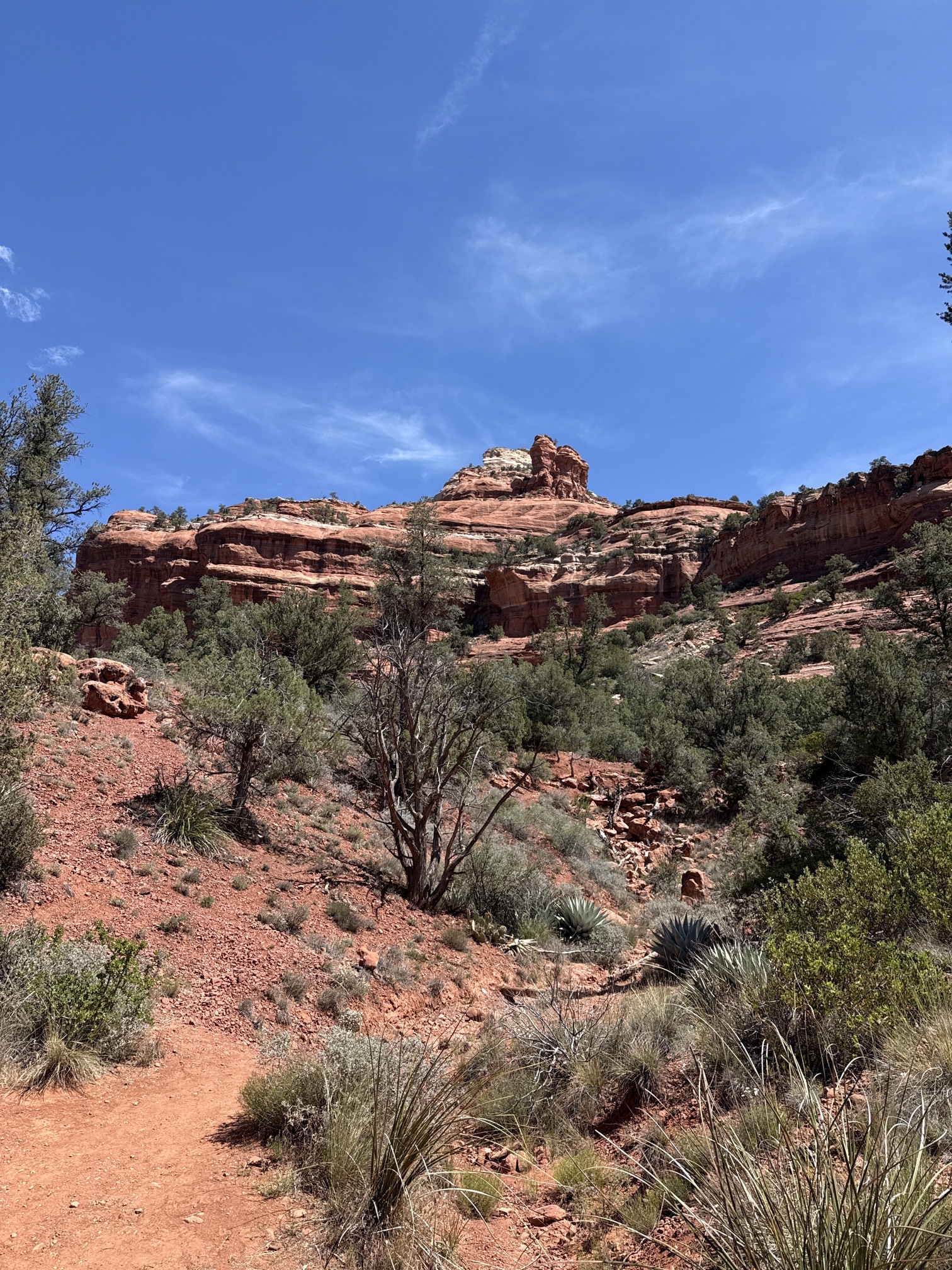 Boynton Canyon Trail