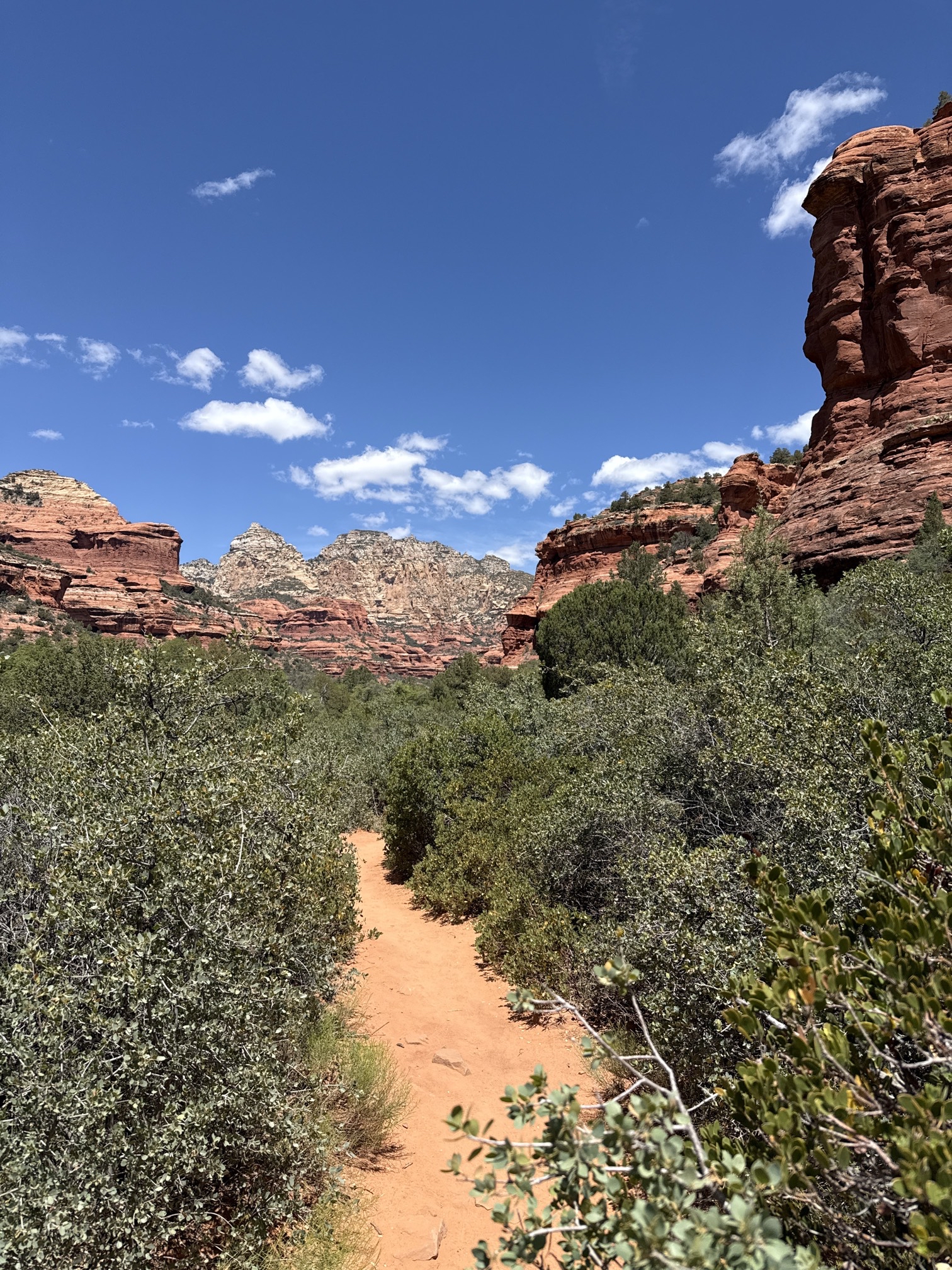 Boynton Canyon Trail