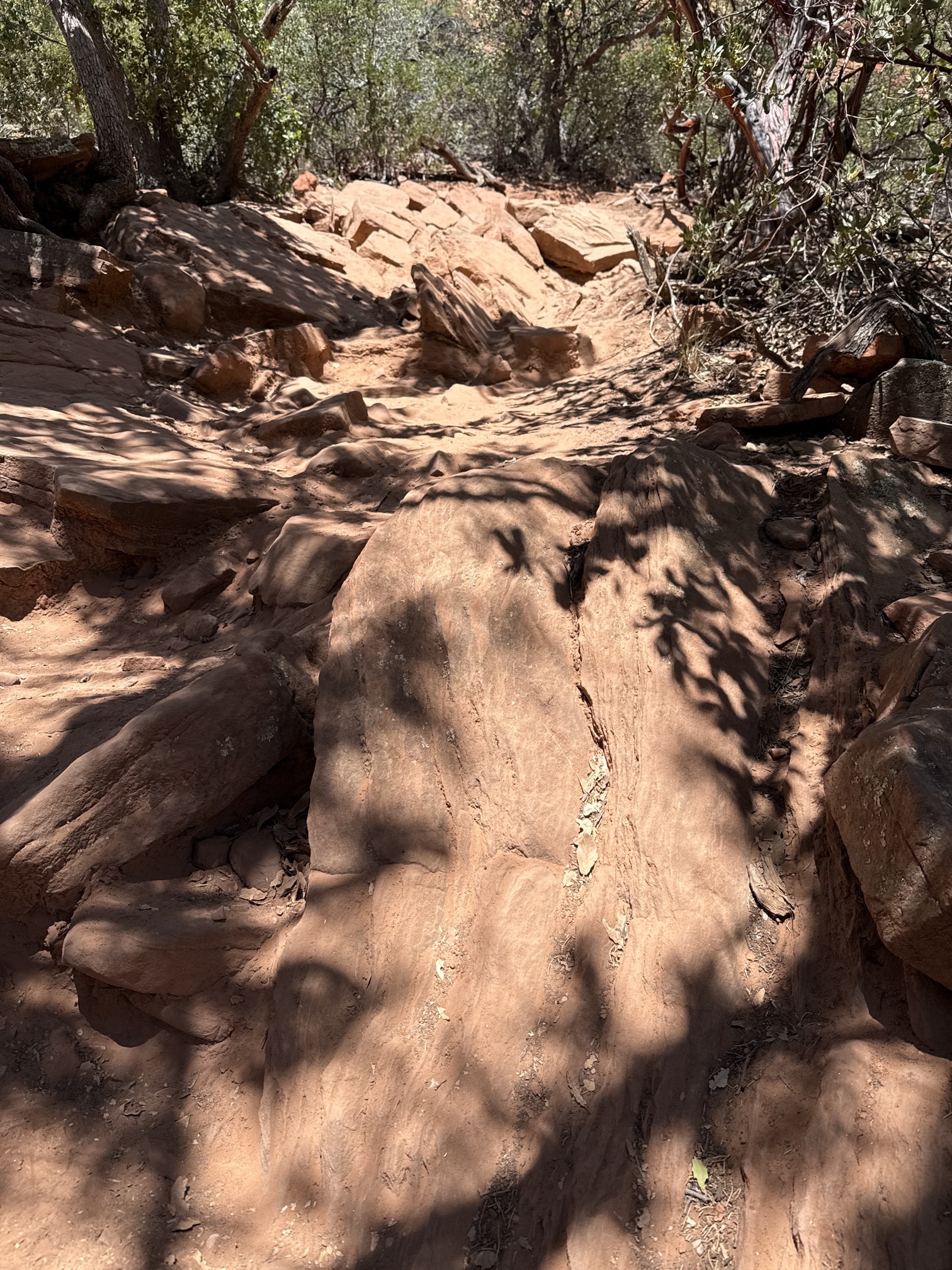 Boynton Canyon Trail