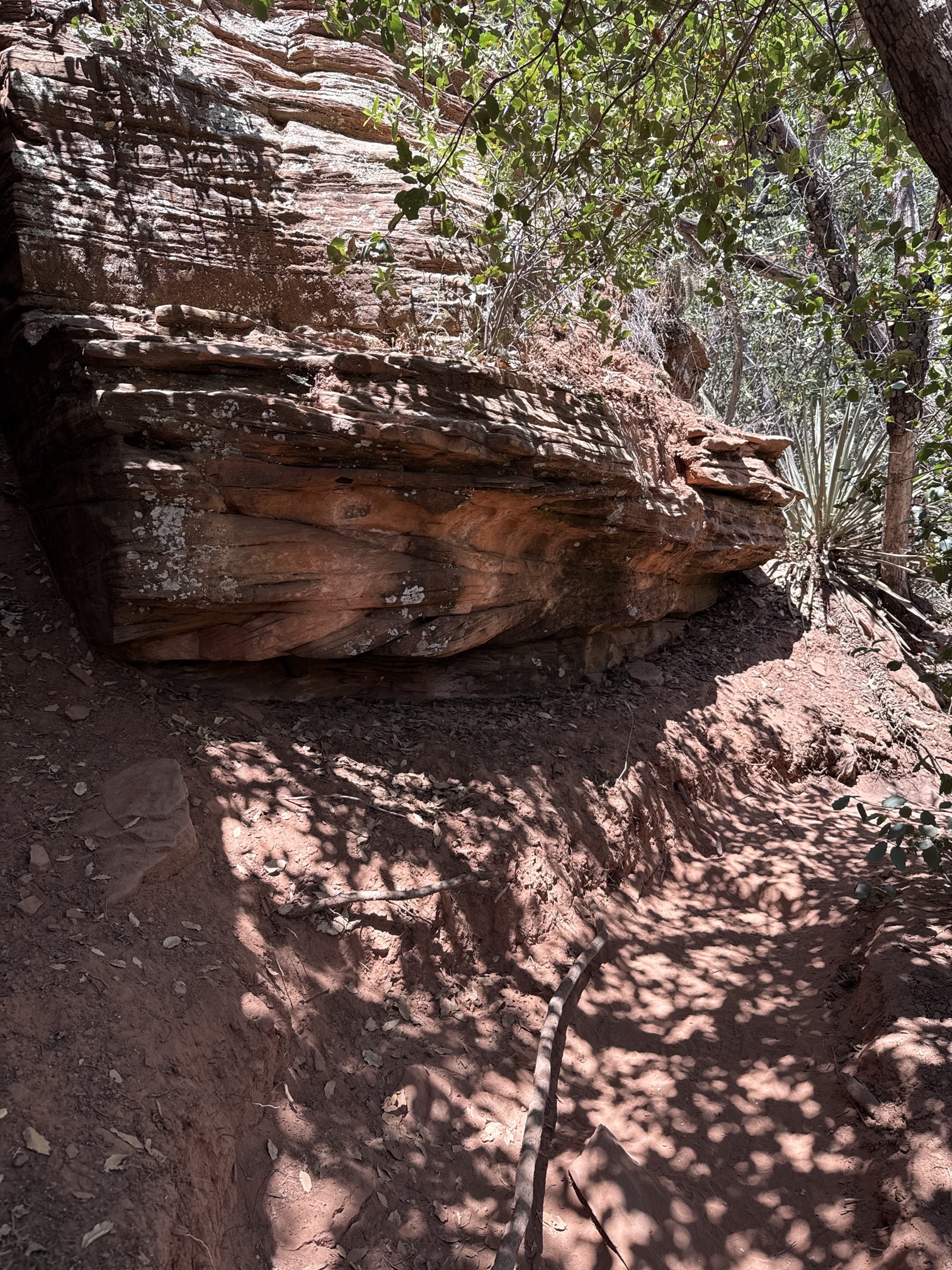 Boynton Canyon Trail