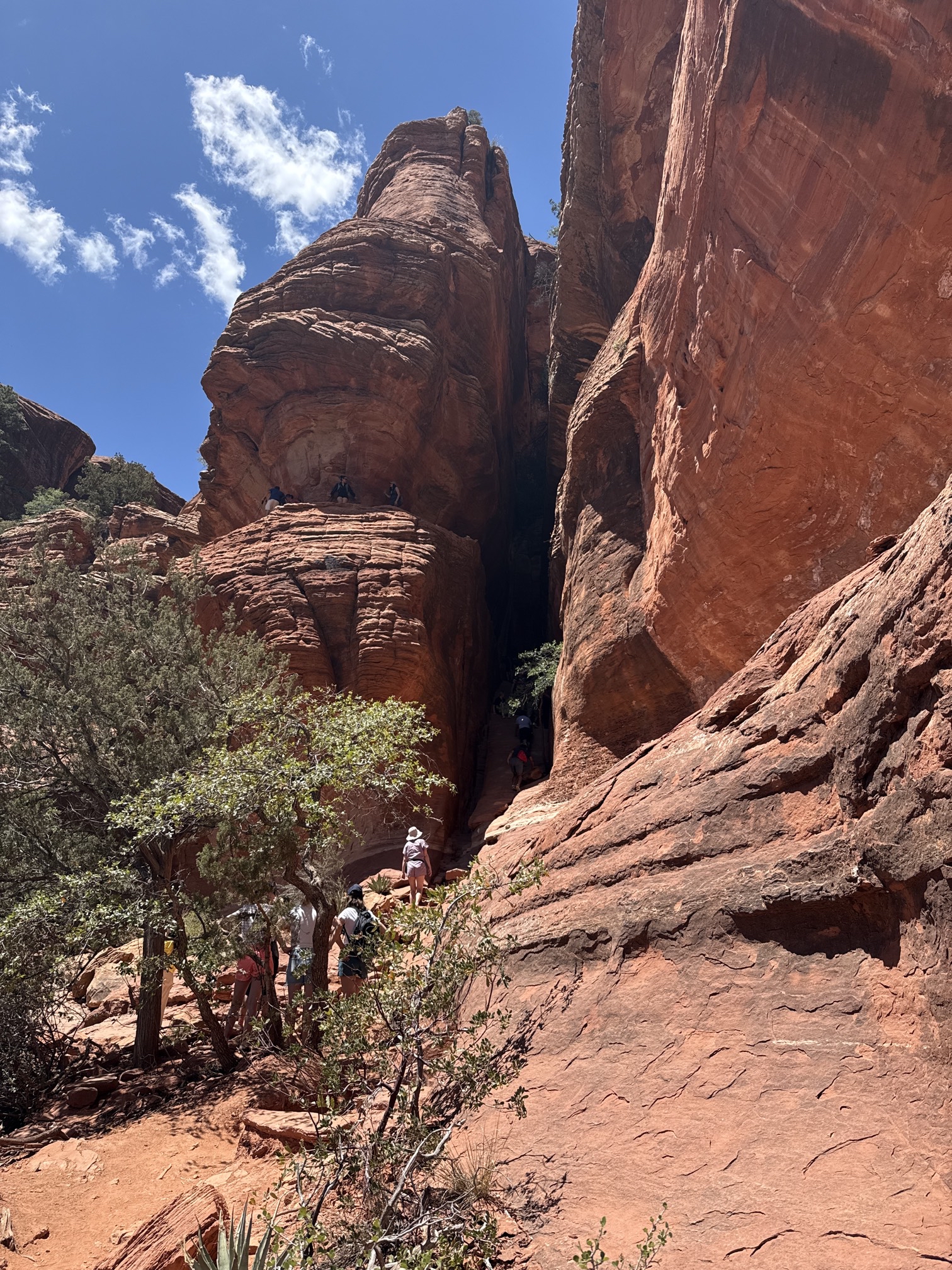 Boynton Canyon Trail