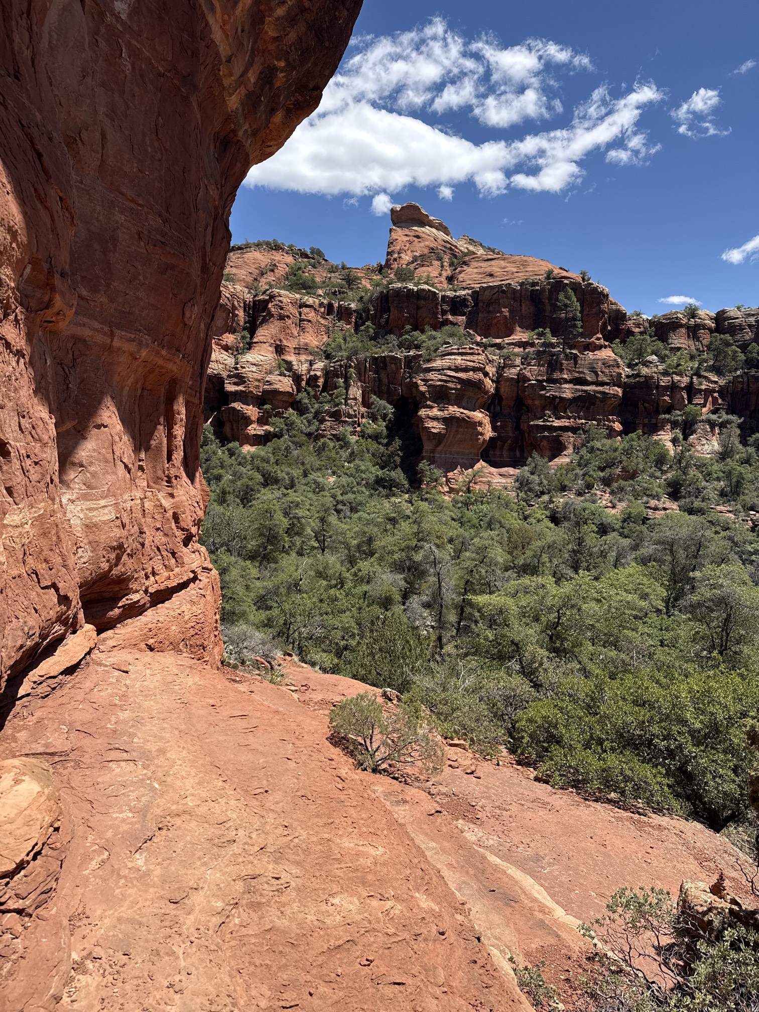 Boynton Canyon Trail