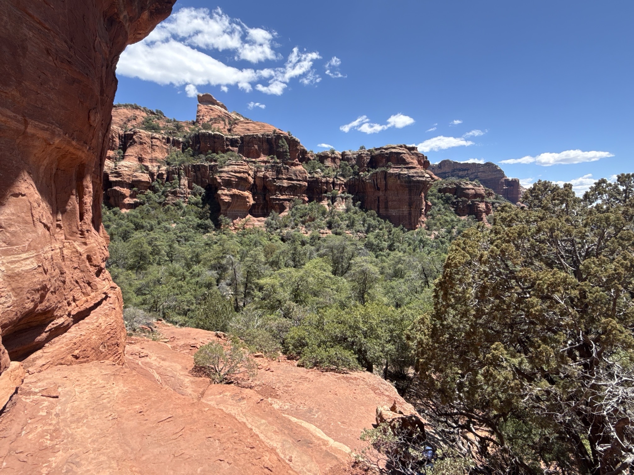Boynton Canyon Trail