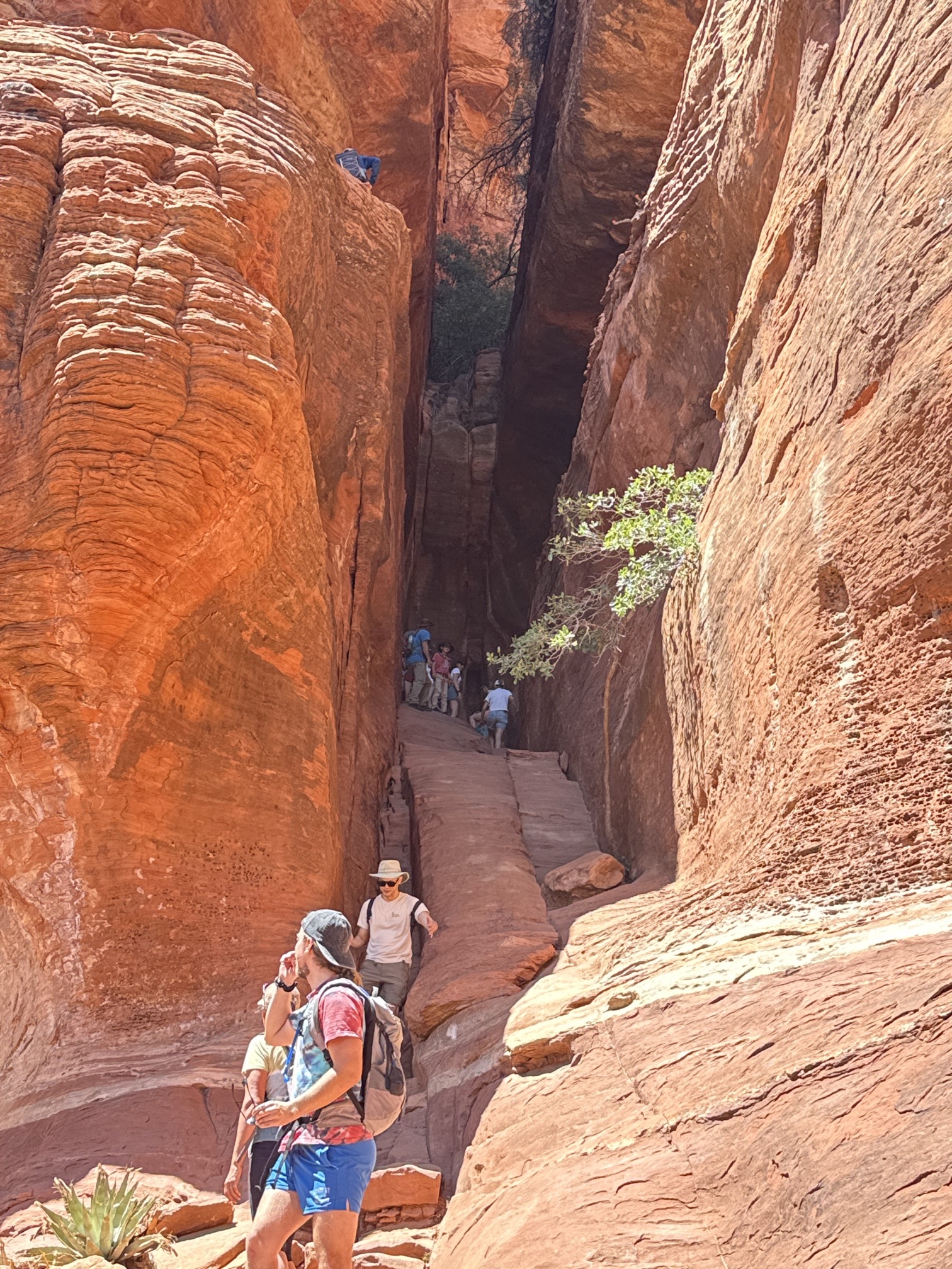 Boynton Canyon Trail