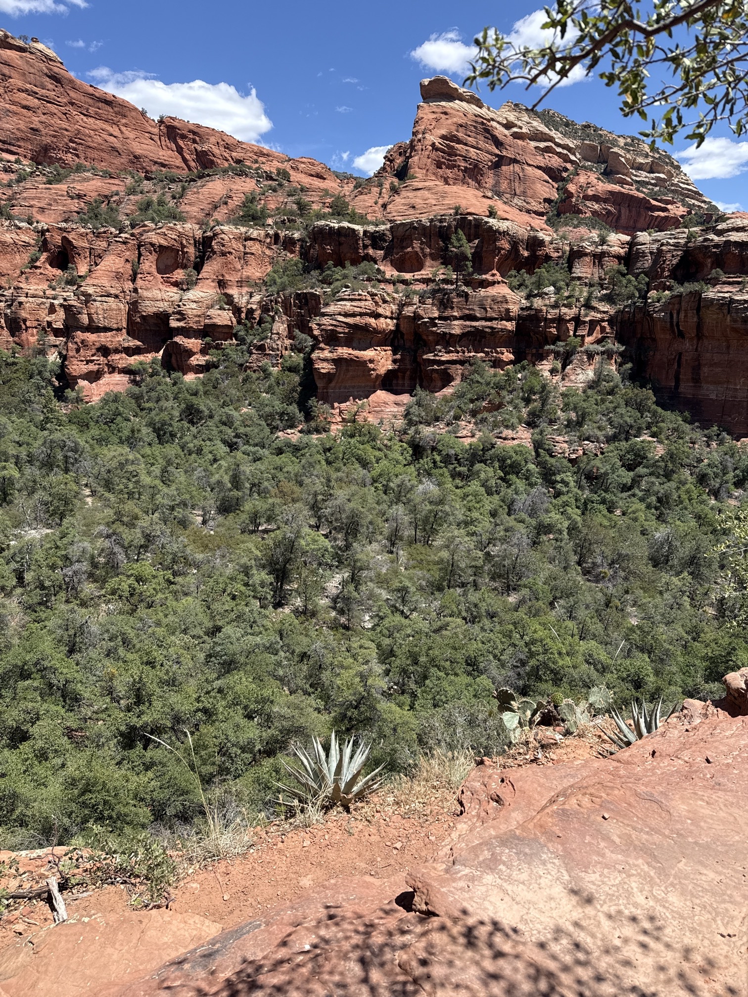 Boynton Canyon Trail