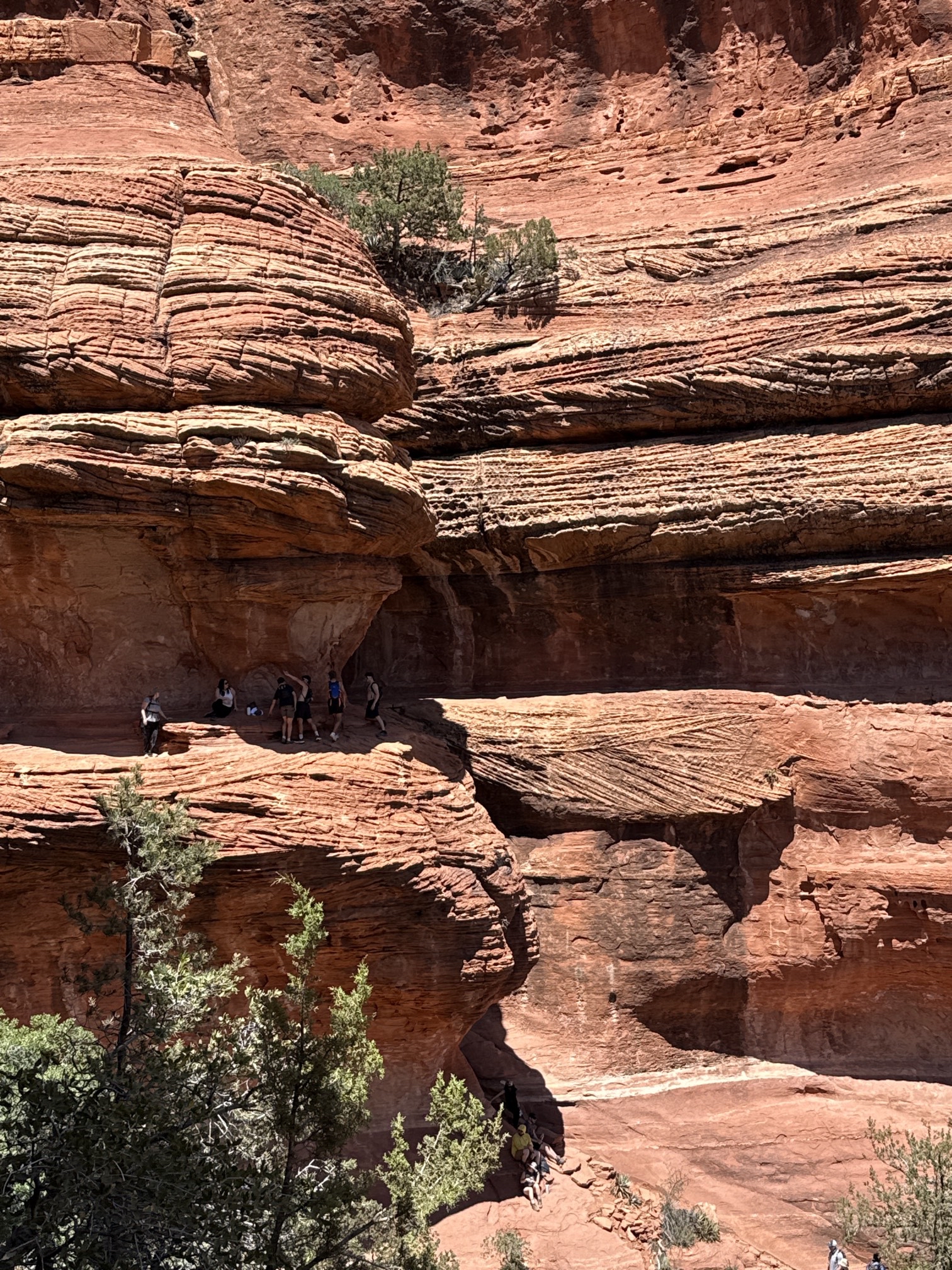 Boynton Canyon Trail