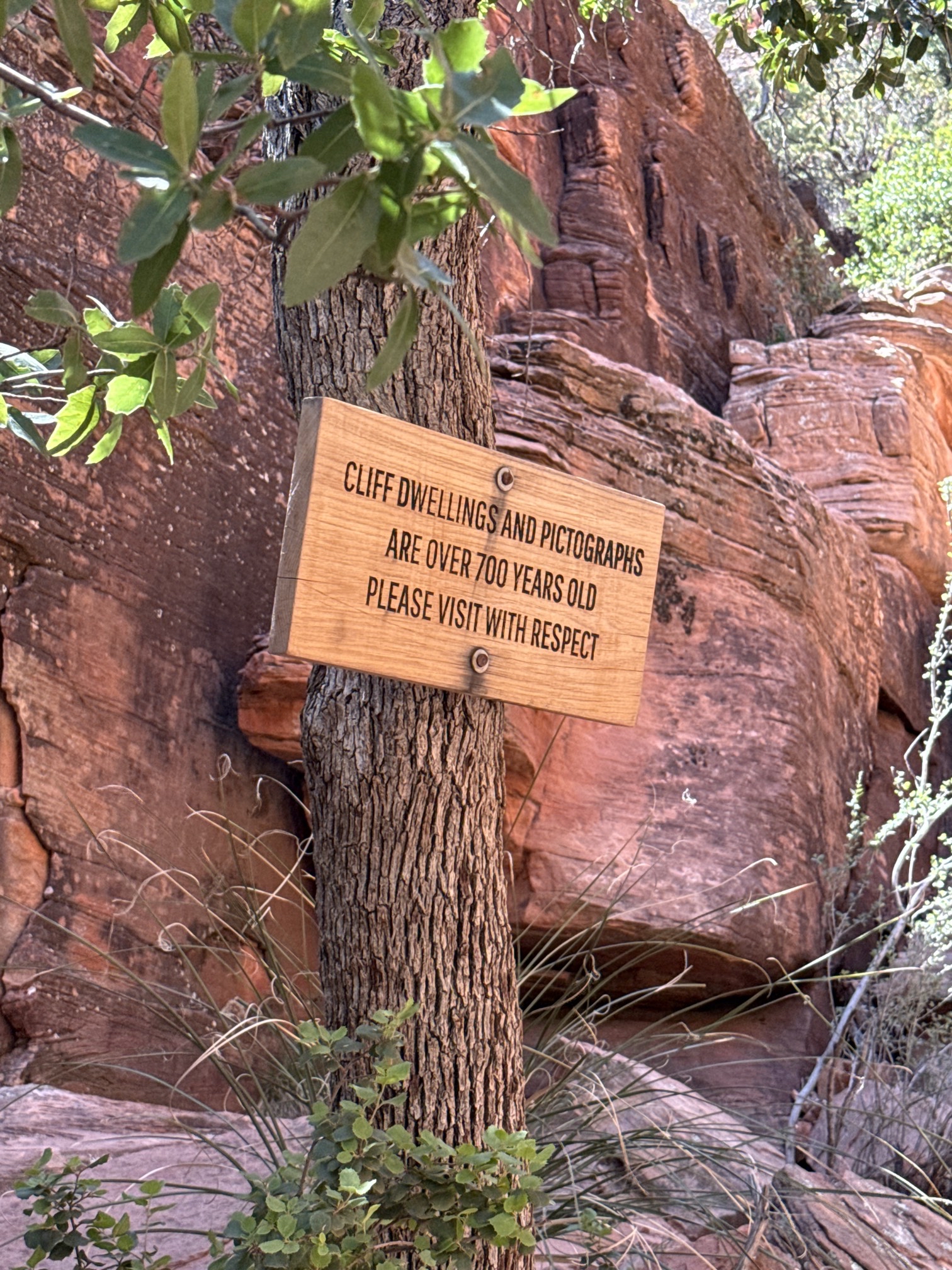 Boynton Canyon Trail