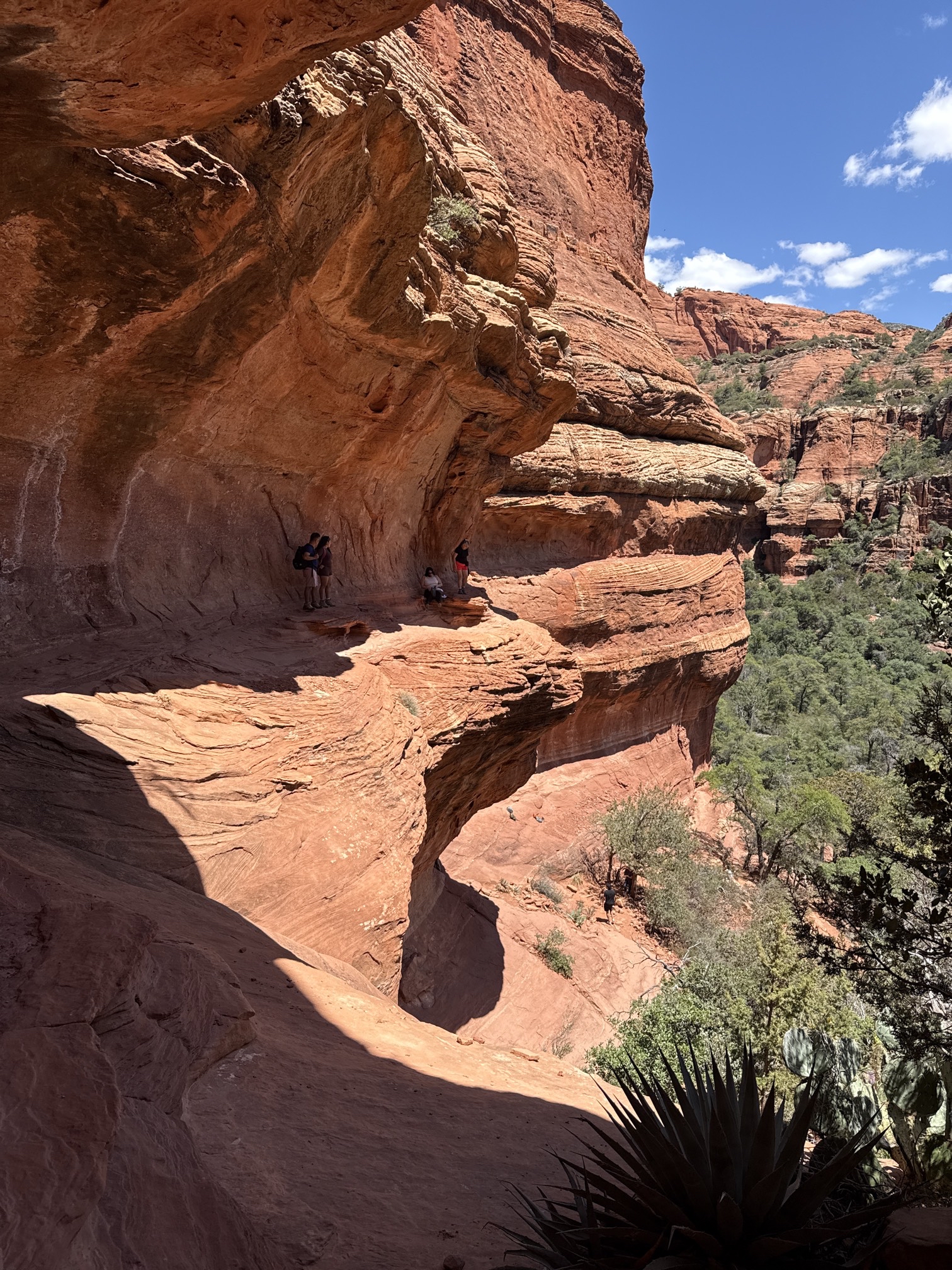 Boynton Canyon Trail