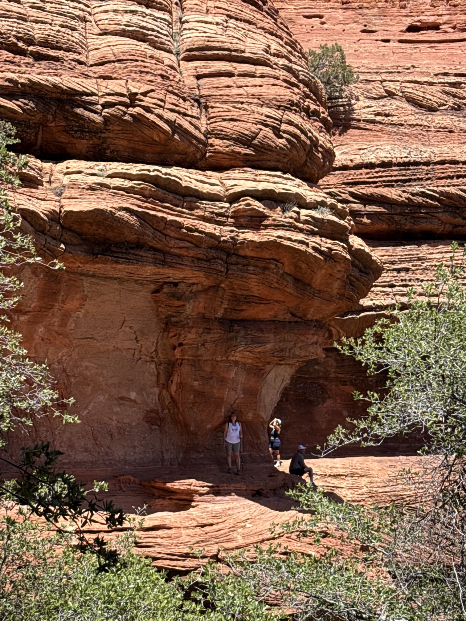 Boynton Canyon Trail