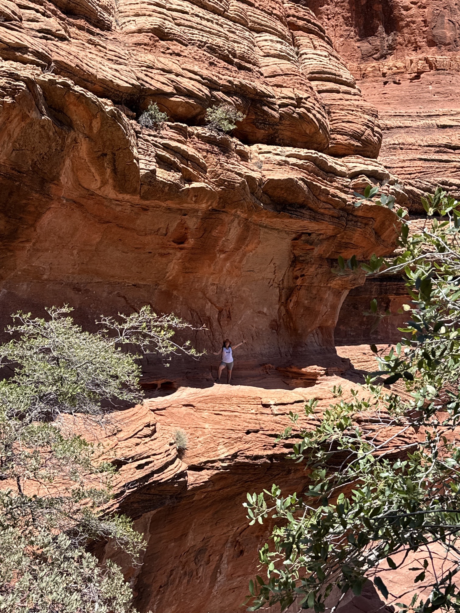 Boynton Canyon Trail
