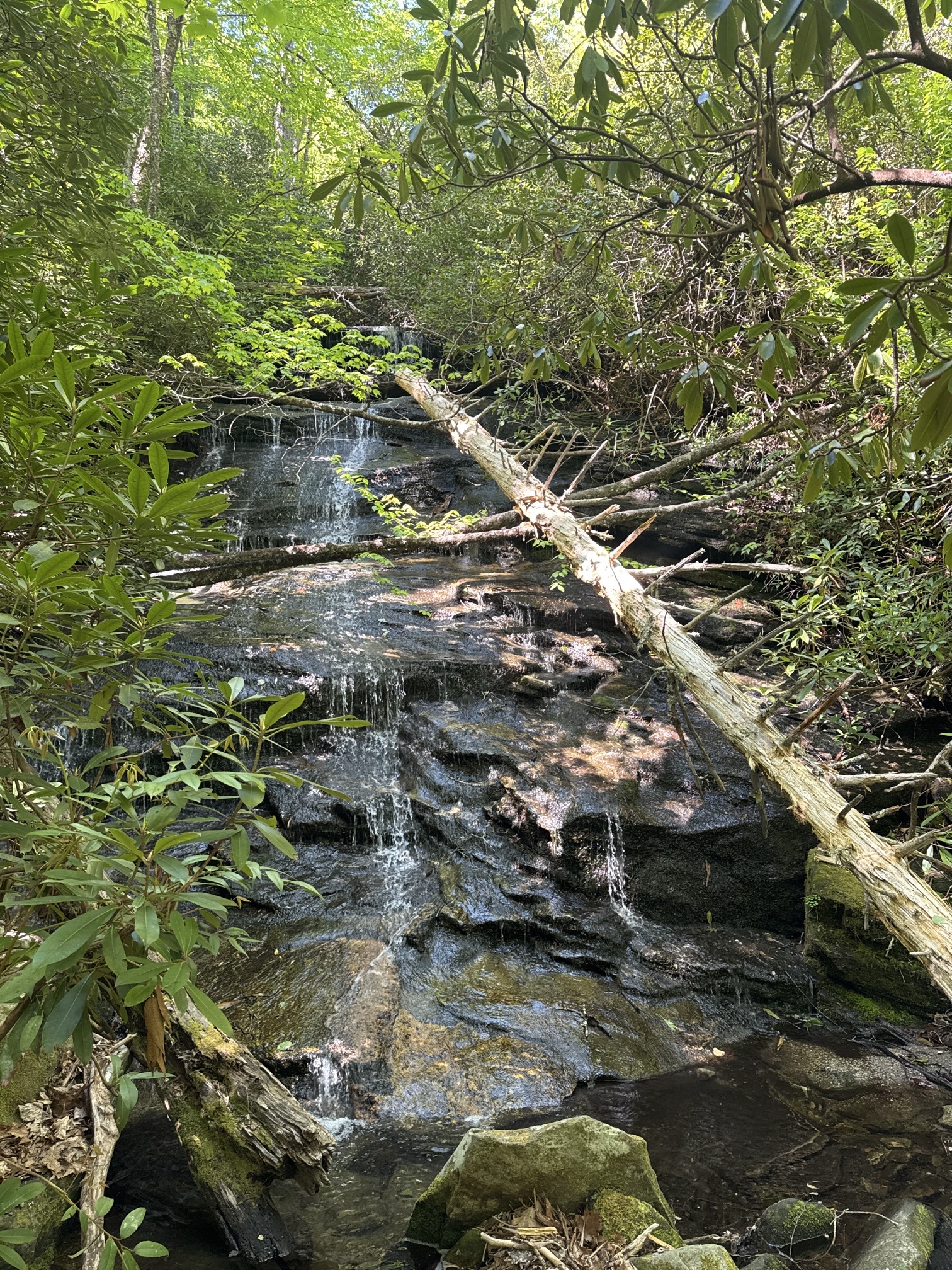 Rhapsodie Falls