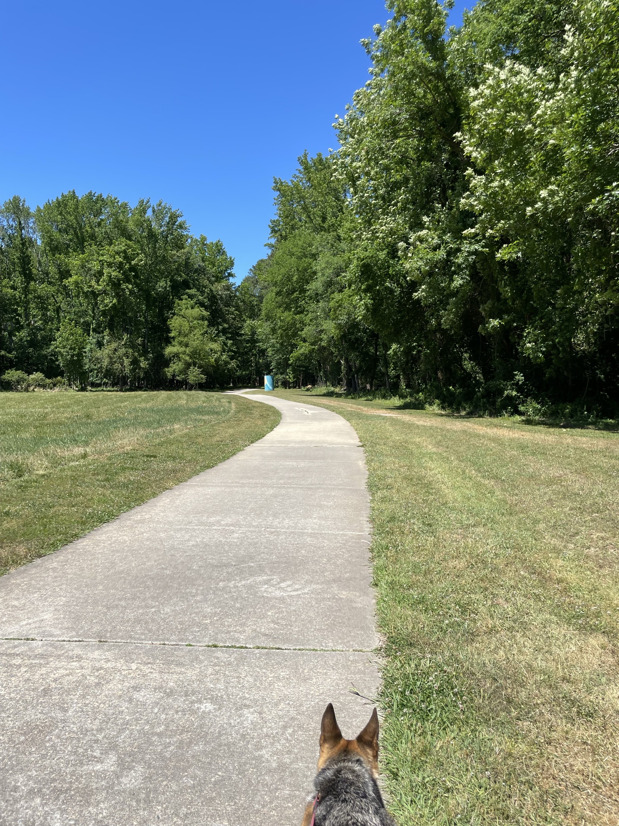 Lower Booker Creek Trail