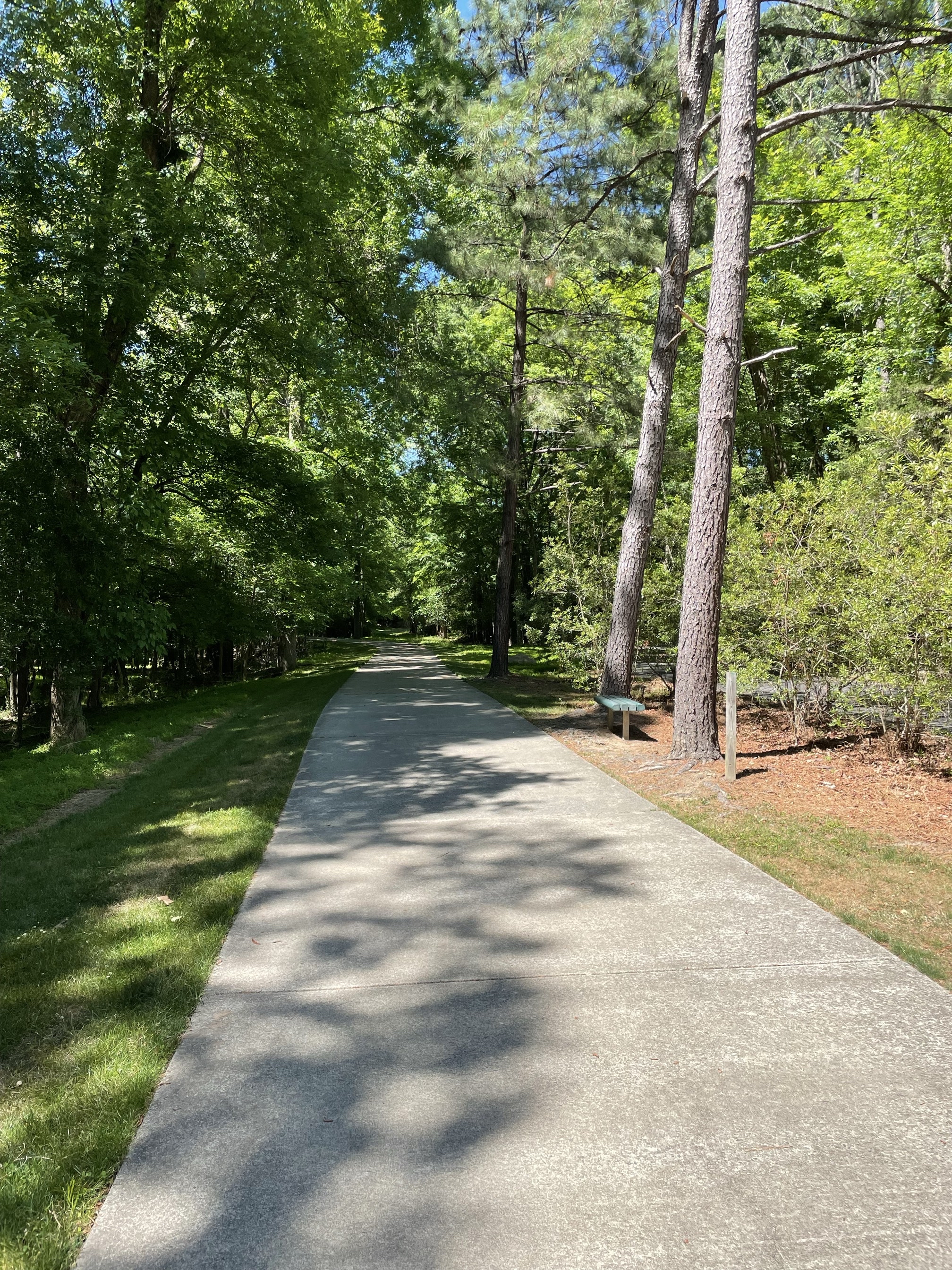 Lower Booker Creek Trail