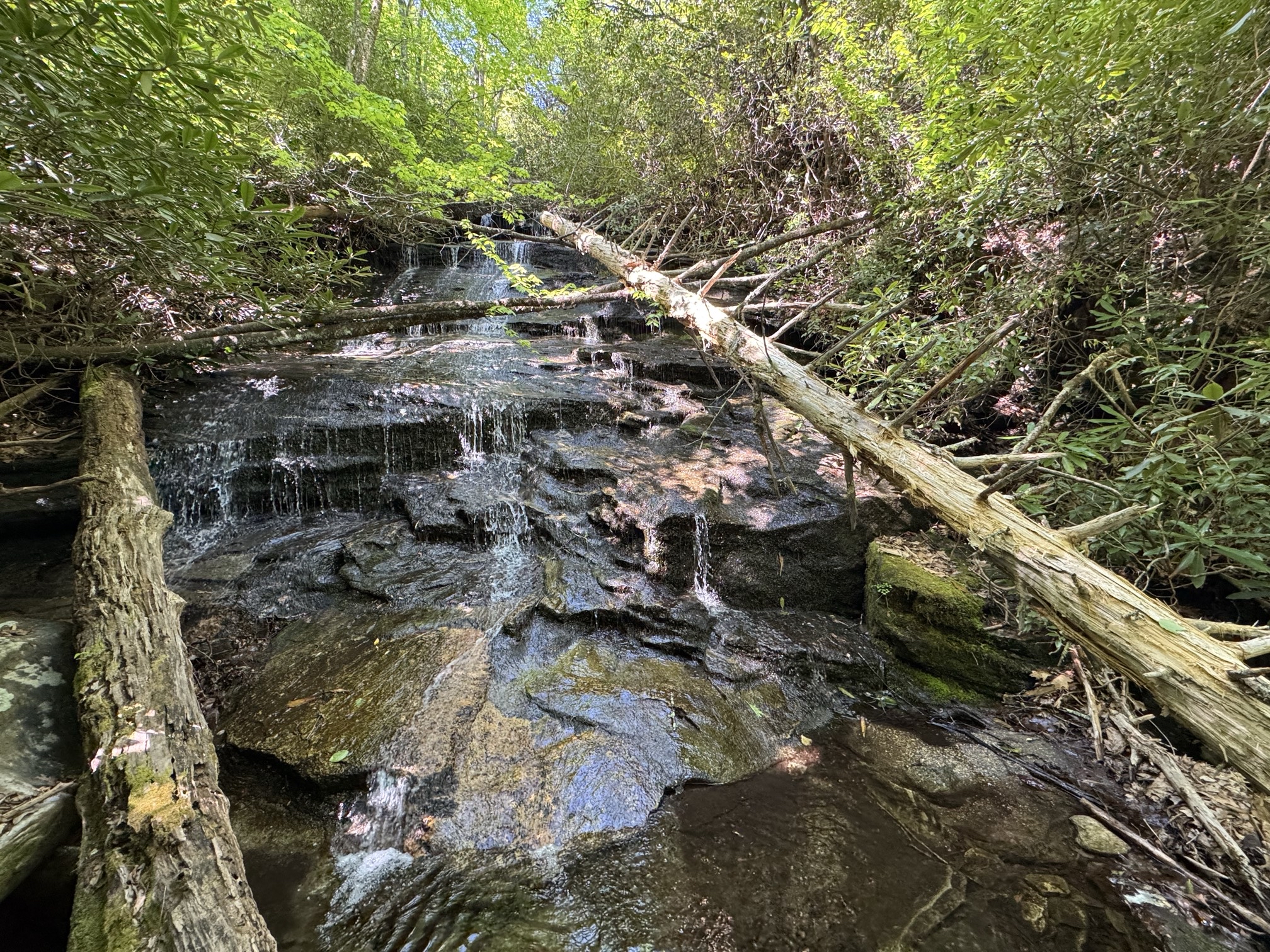 Rhapsodie Falls