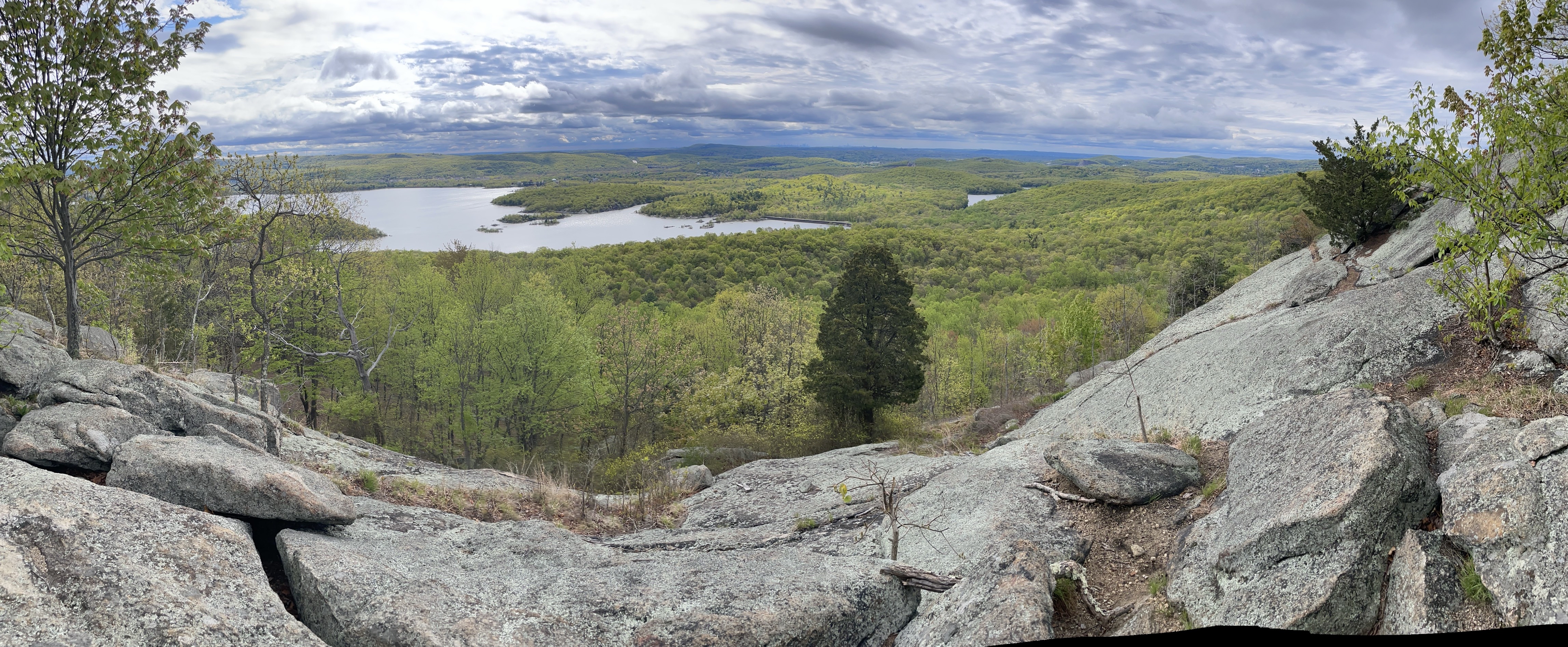Norvin Green State Forest Loop