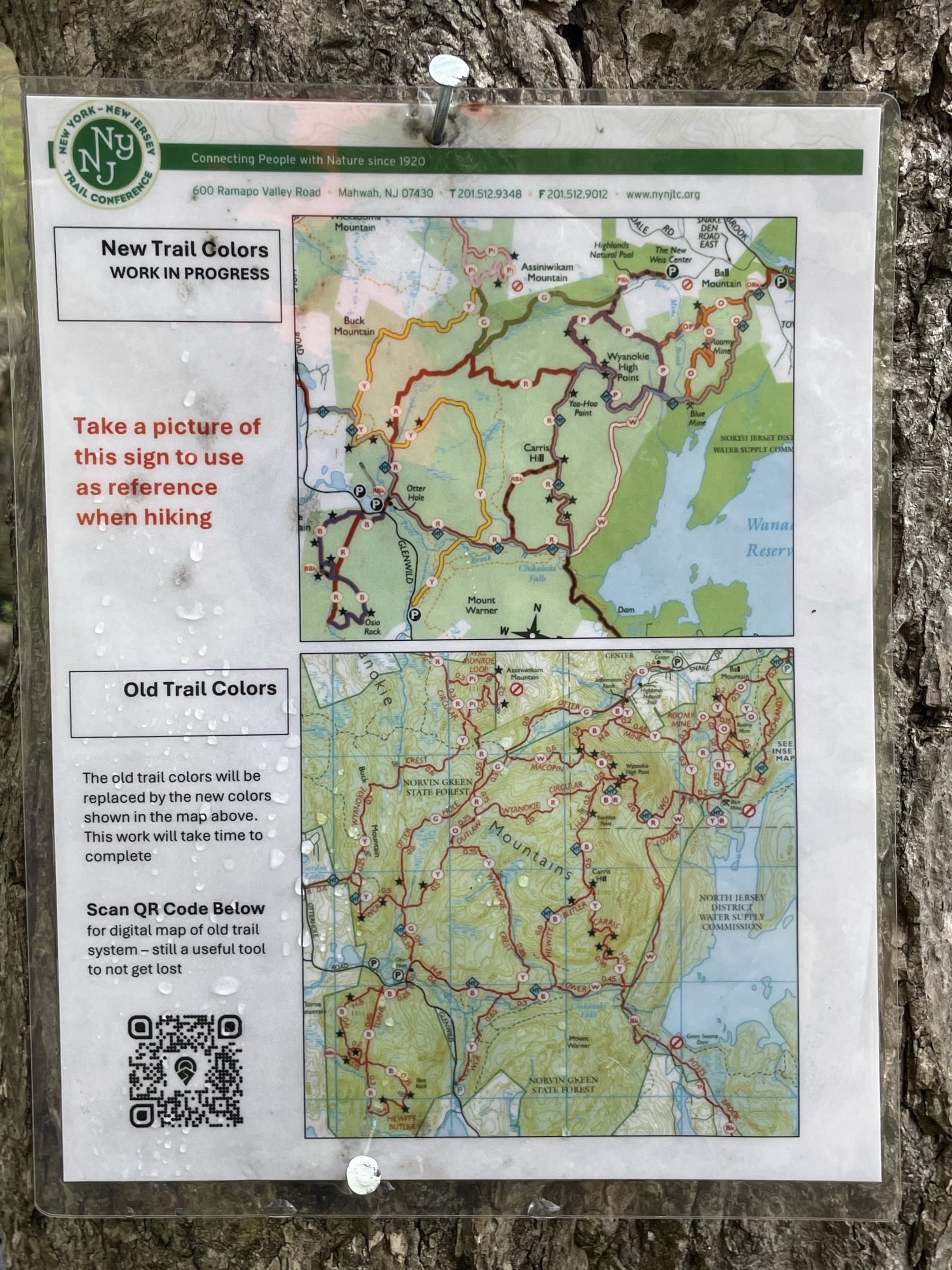 Norvin Green State Forest Loop
