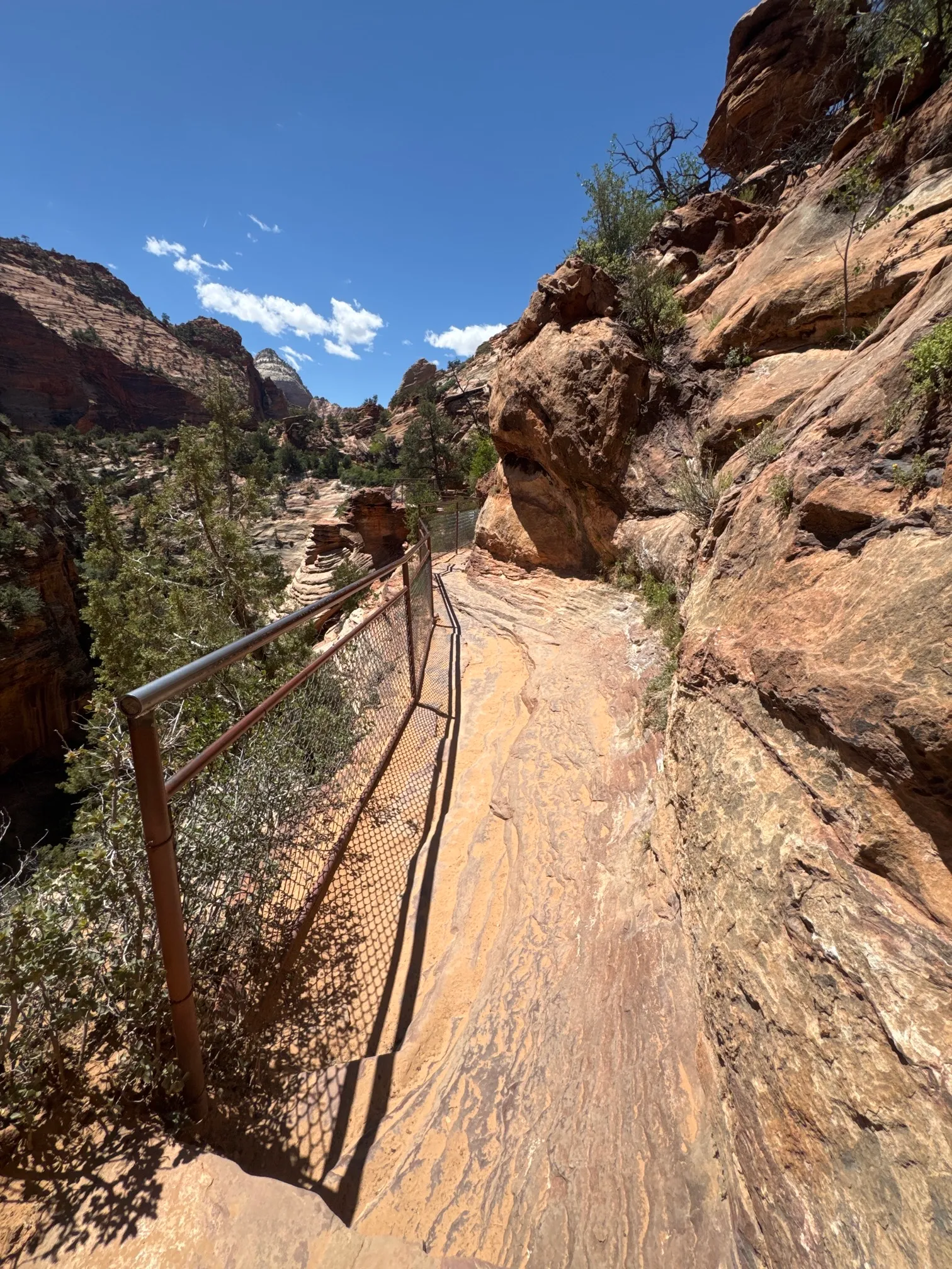 Canyon Overlook Trail