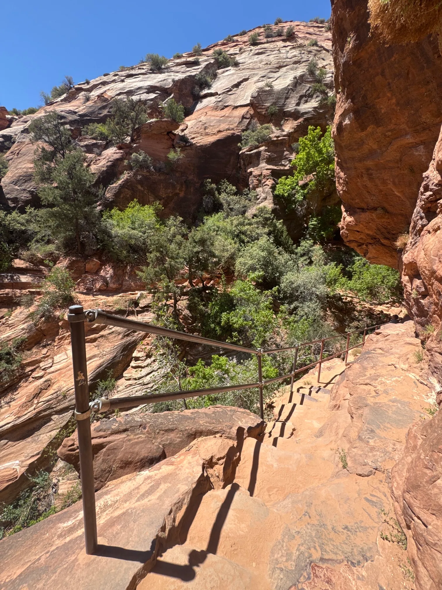Canyon Overlook Trail
