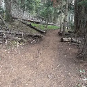 Kachina Trail #150