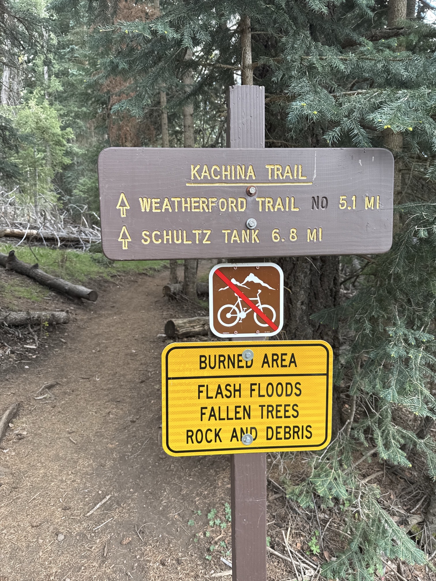 Kachina Trail #150