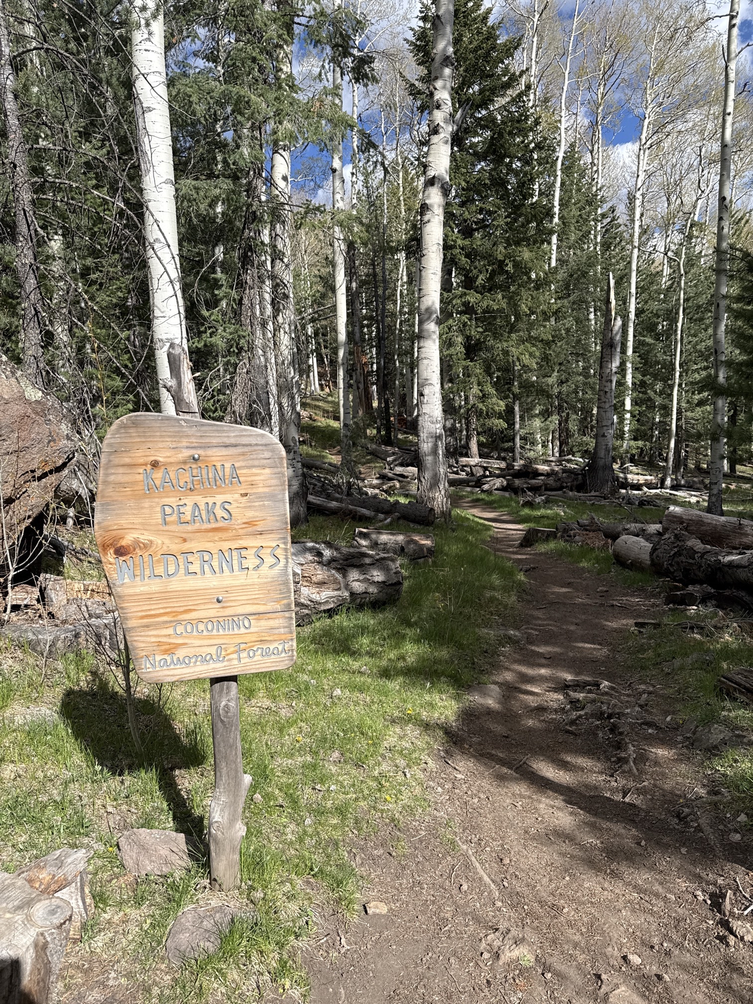 Kachina Trail #150
