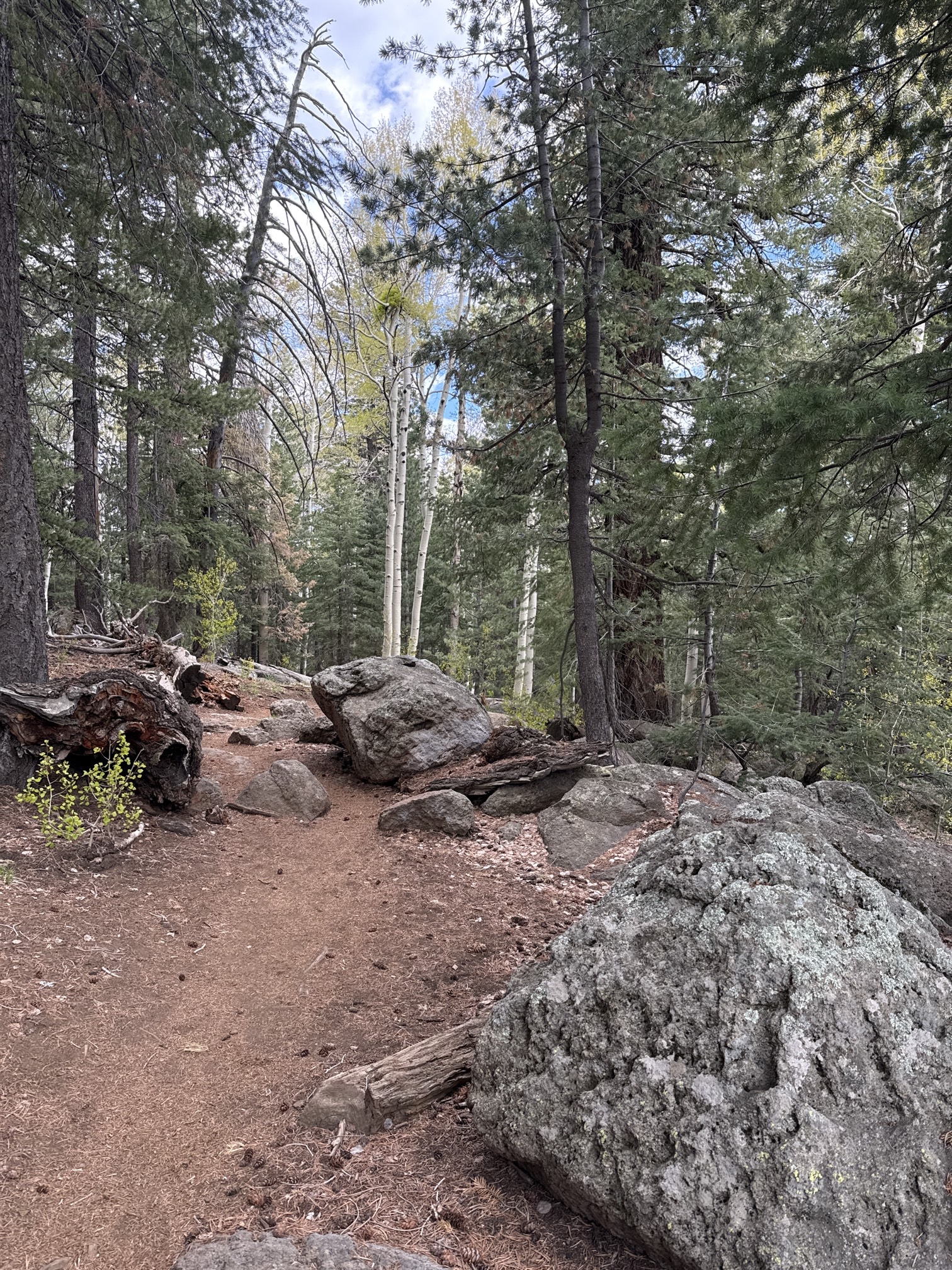Kachina Trail #150