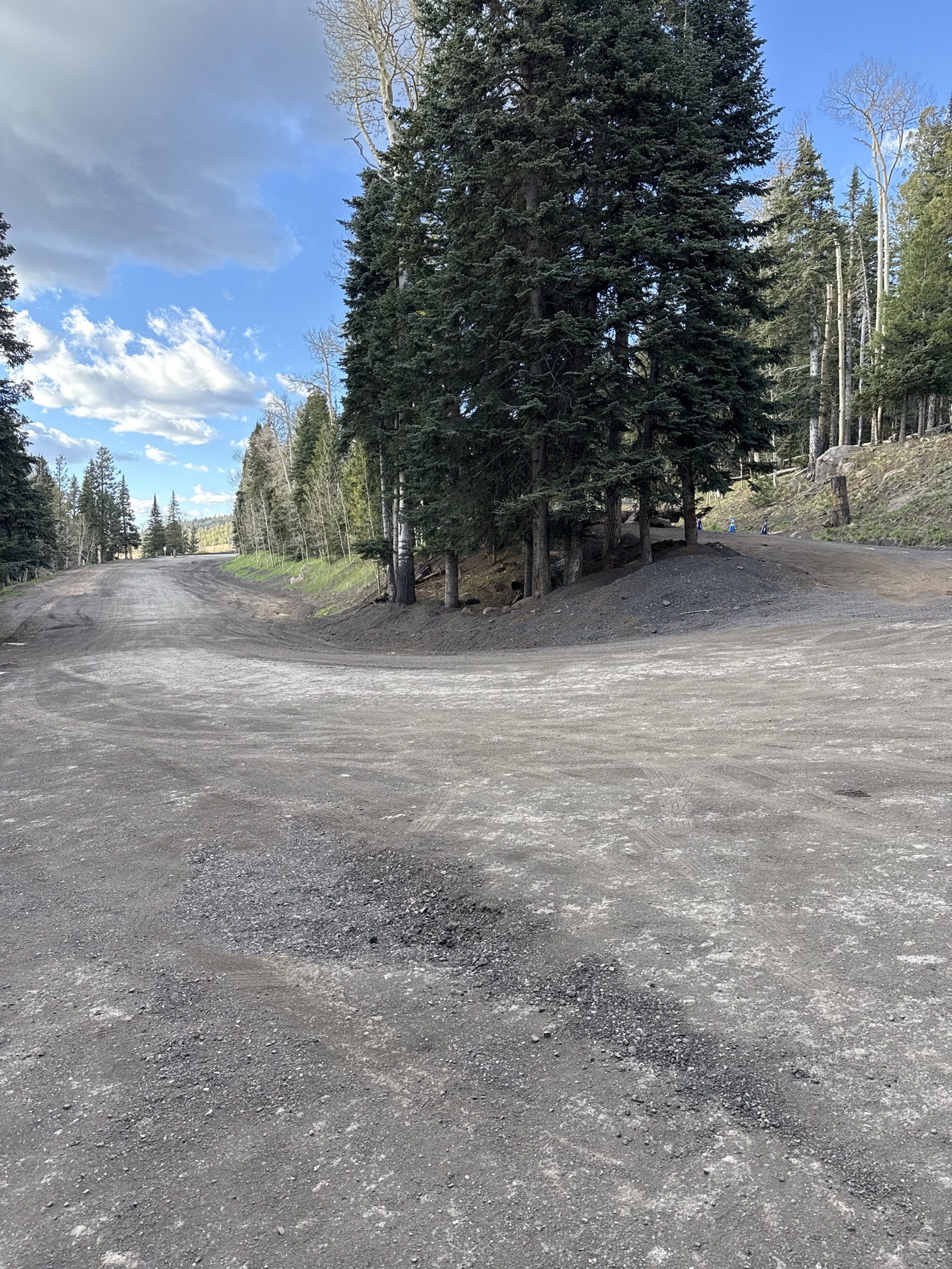Kachina Trail #150