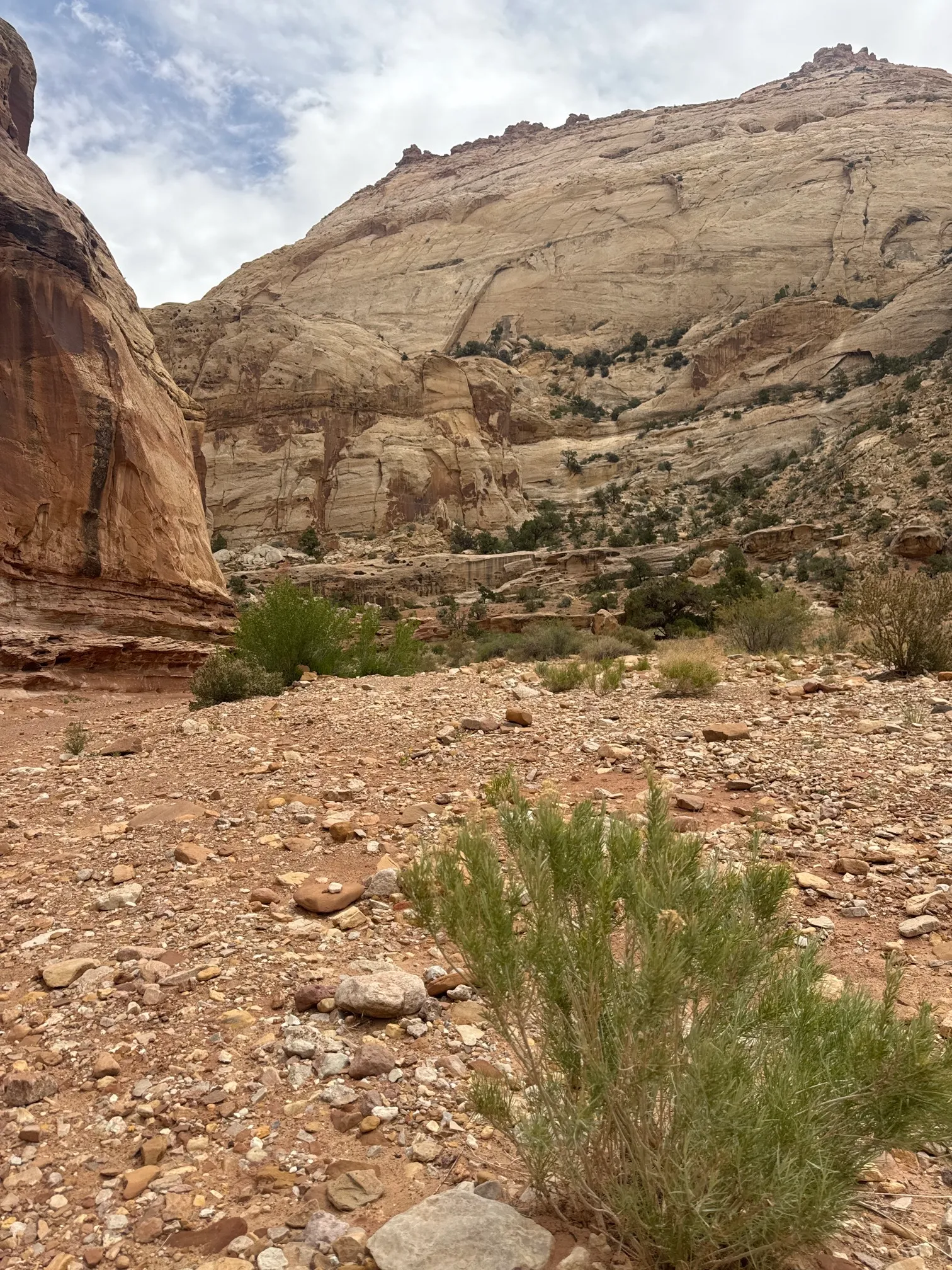 Grand Wash Trail, Capitol Reef National Park