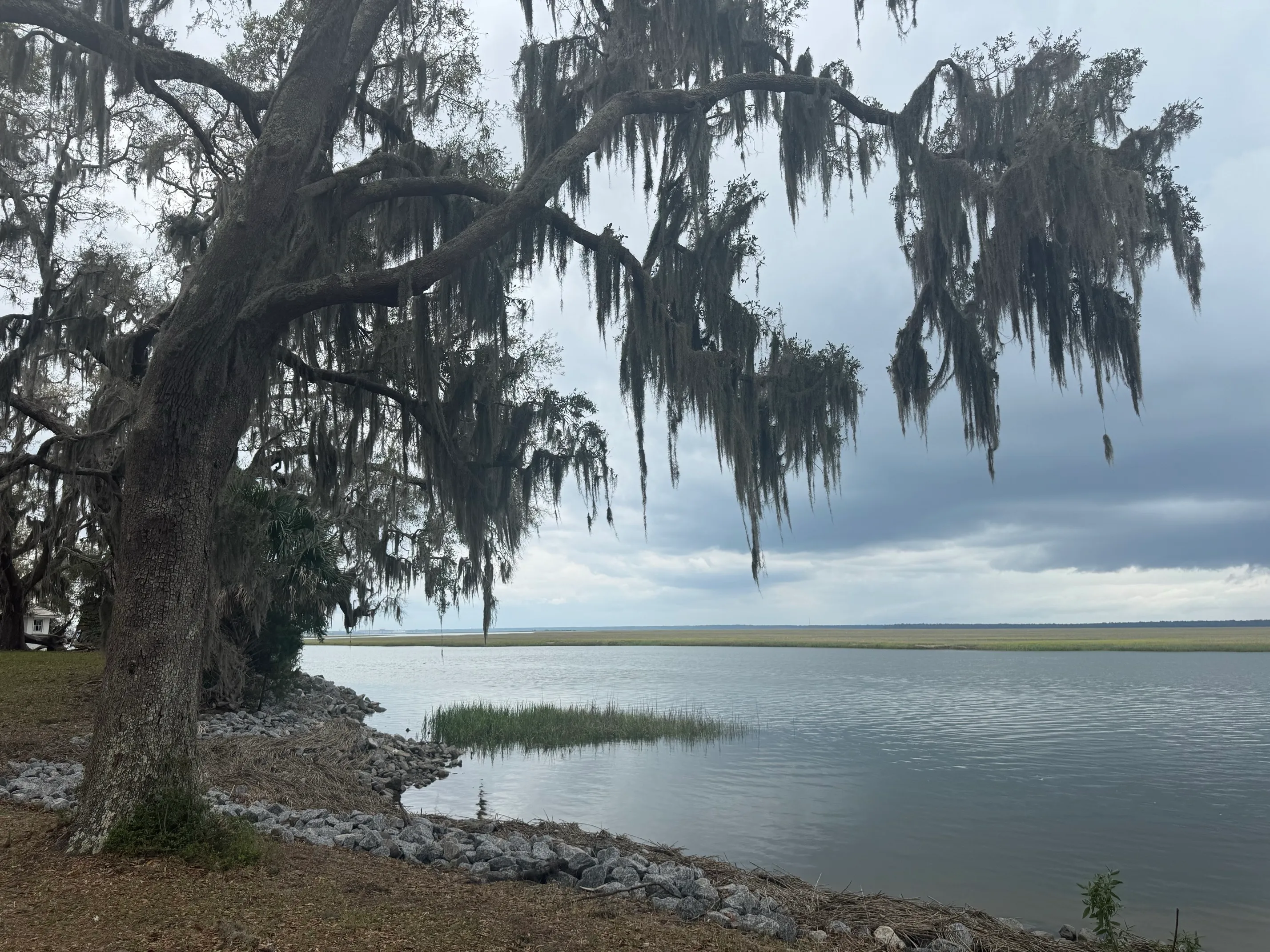 Stafford Beach on Cumberland Island
