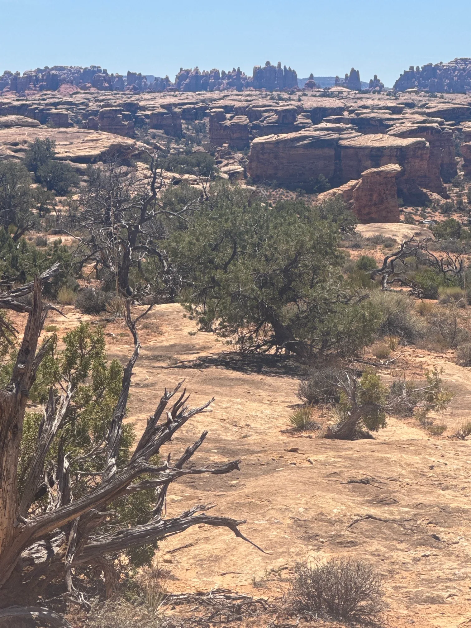 Slickrock Foot Trail