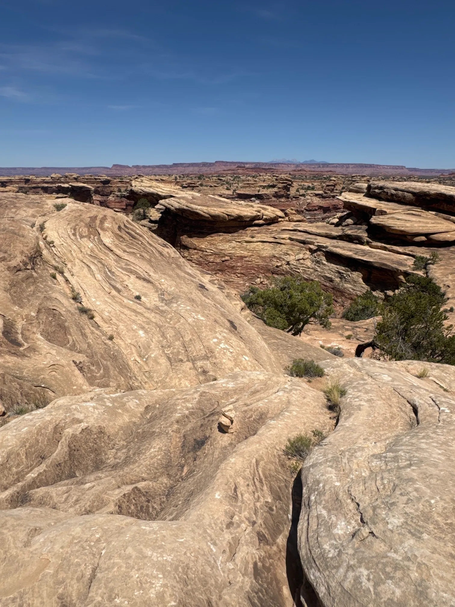 Slickrock Foot Trail