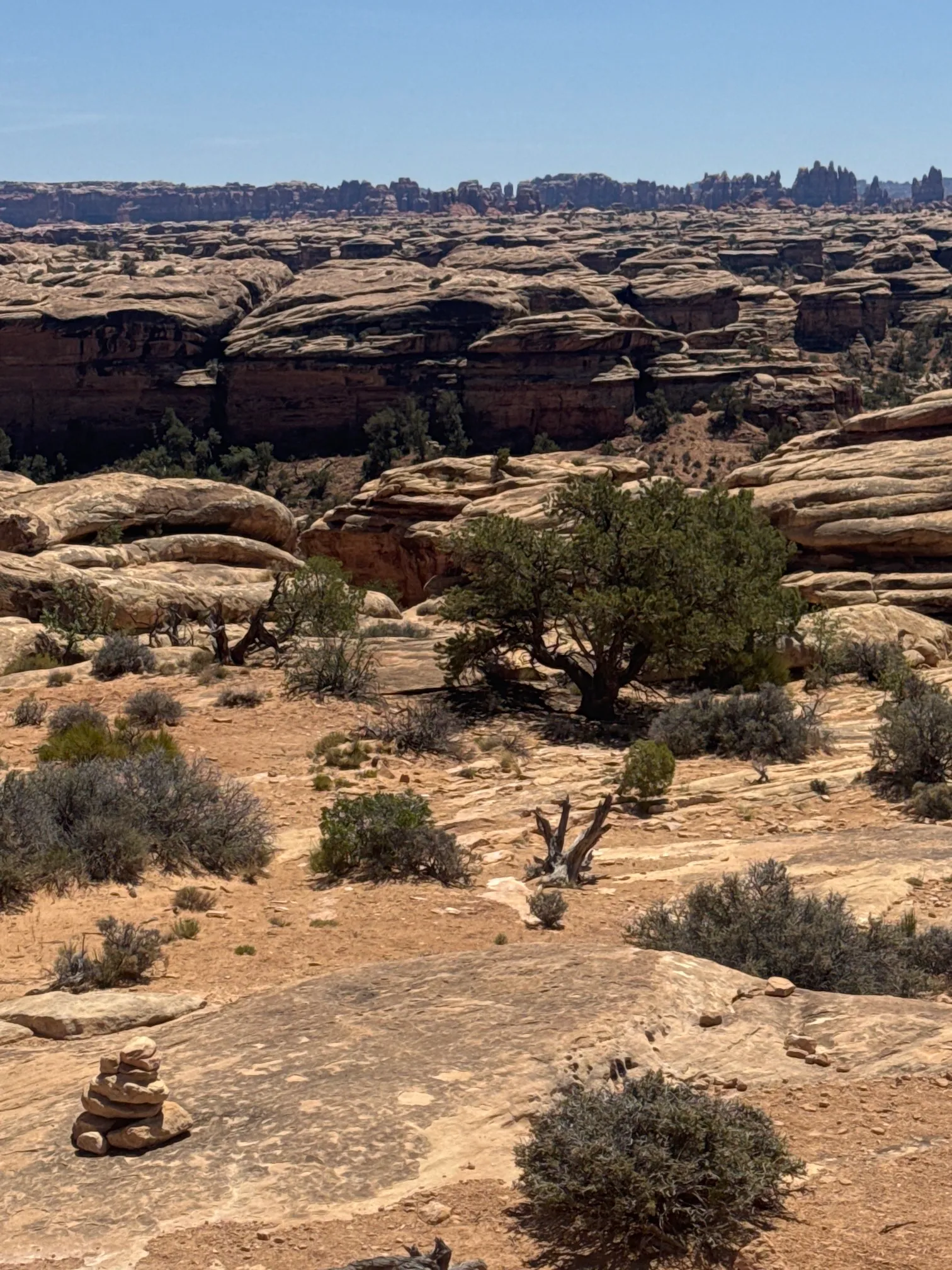 Slickrock Foot Trail