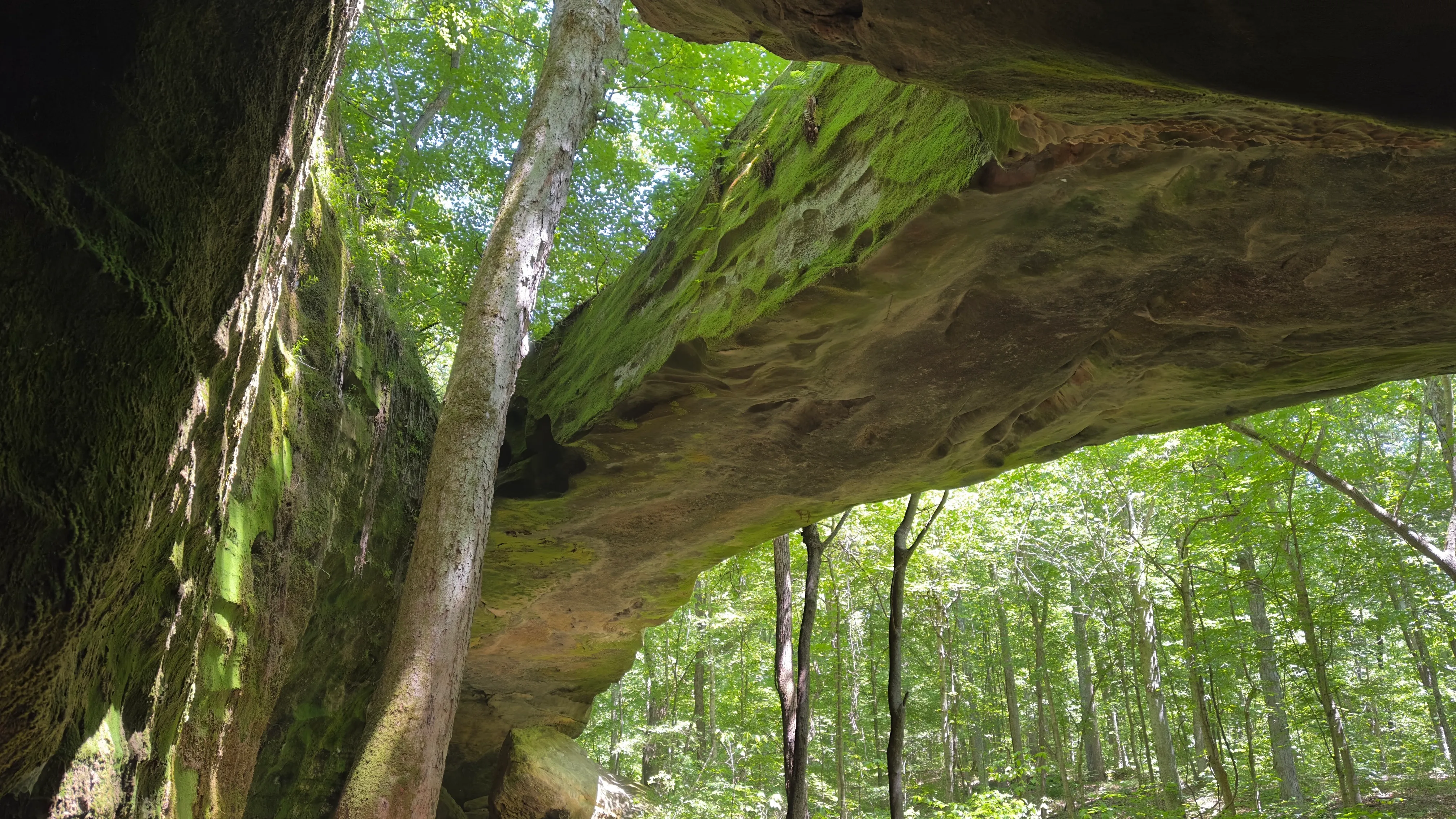 Mantle Rock Trail