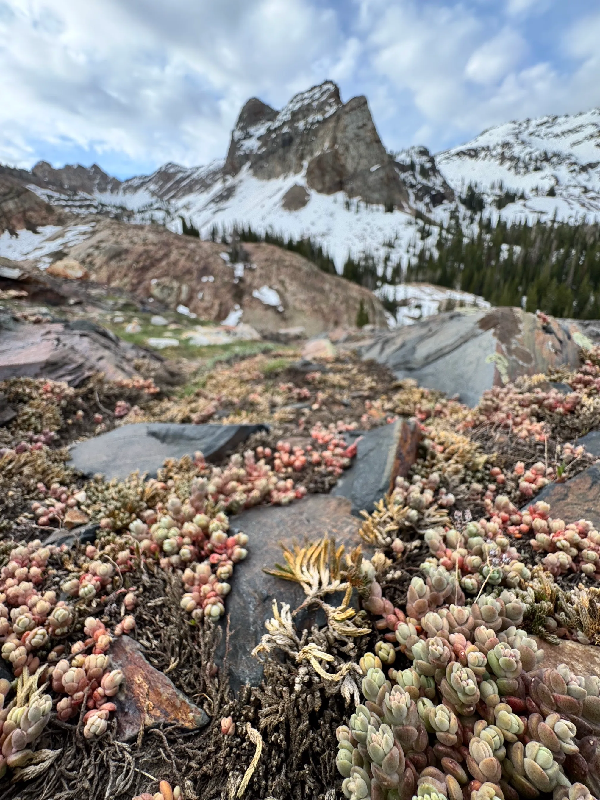 Lake Blanche Trail