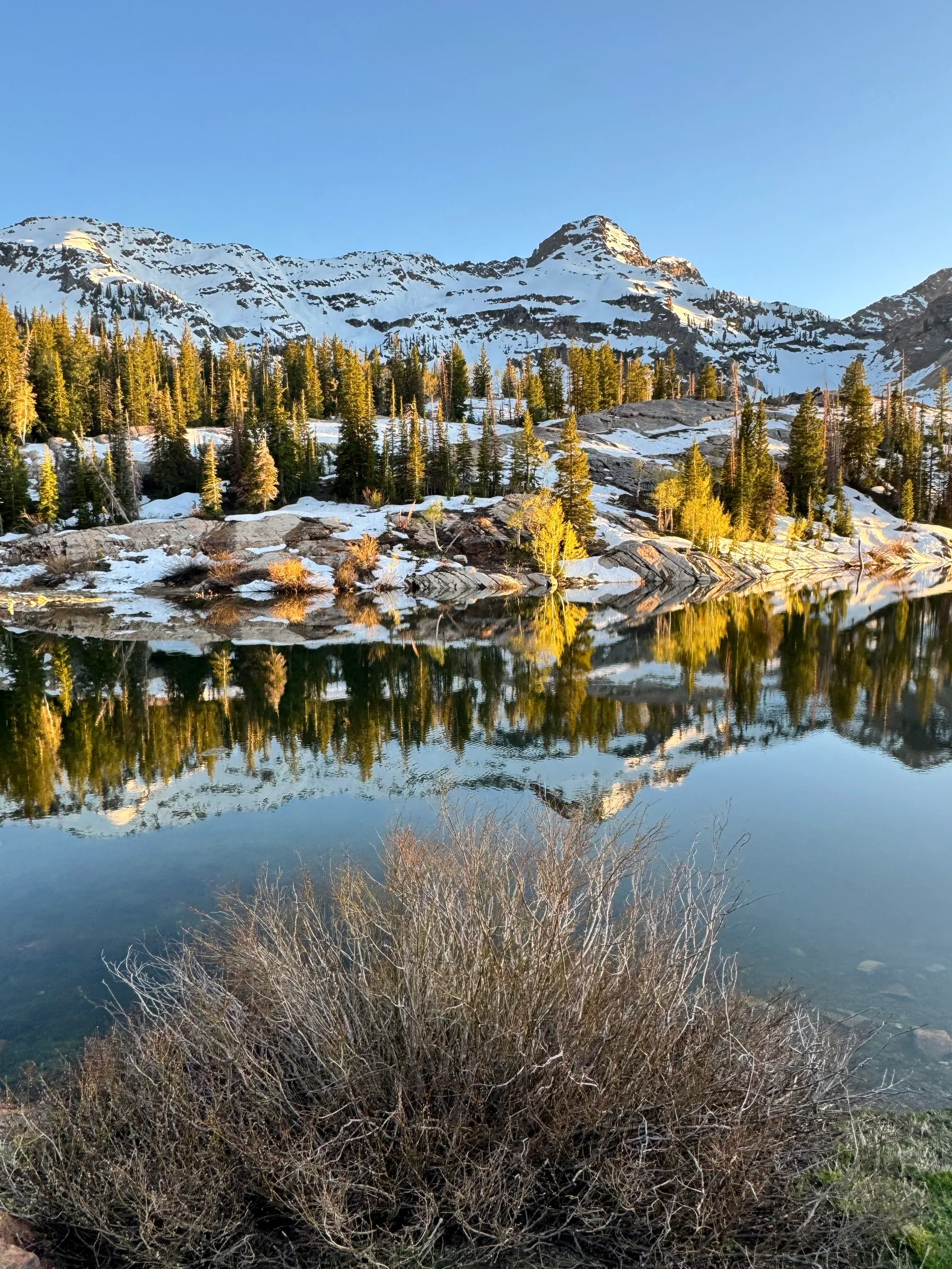 Lake Blanche Trail