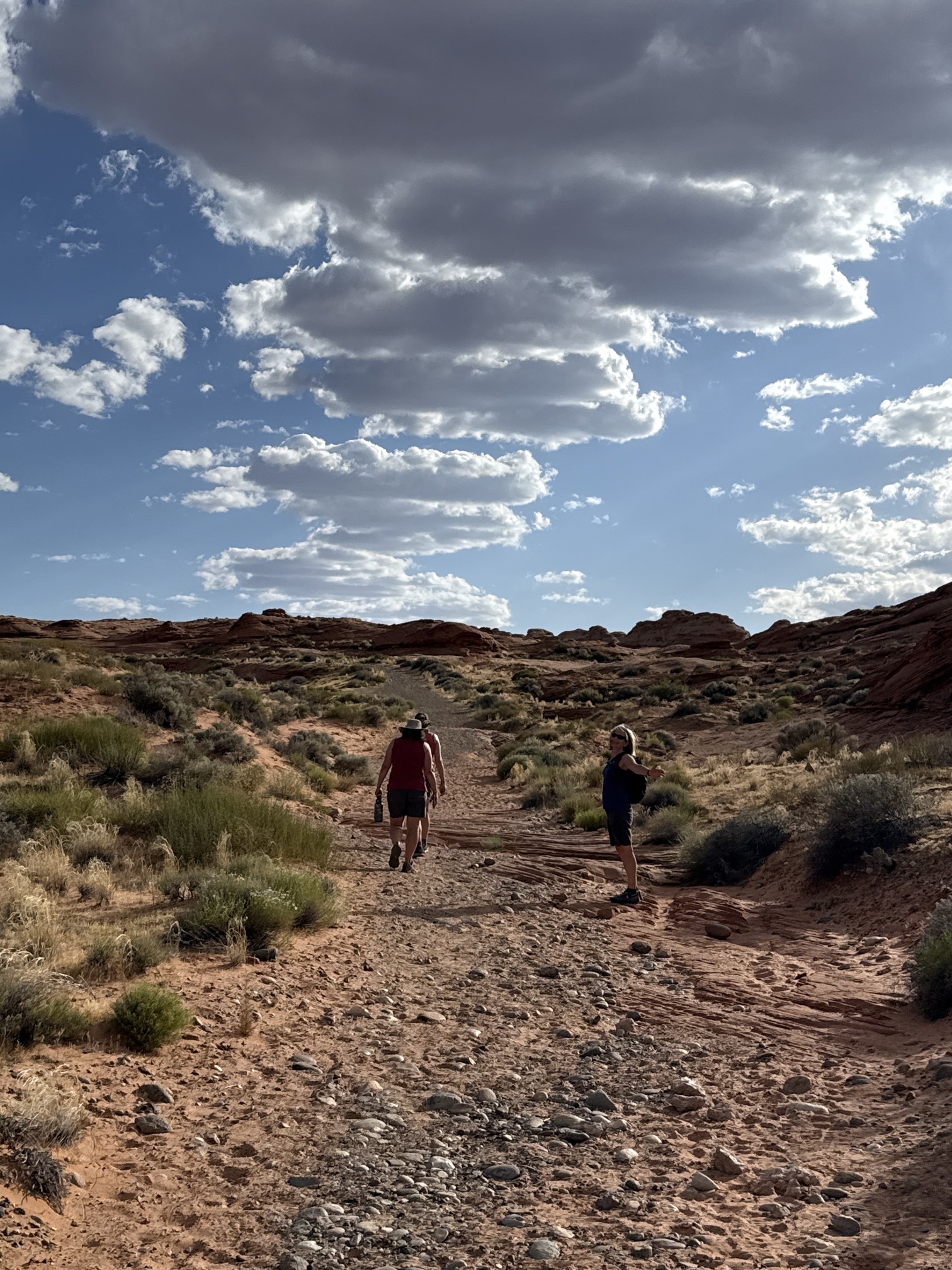 Beehive Trail Loop & New Wave