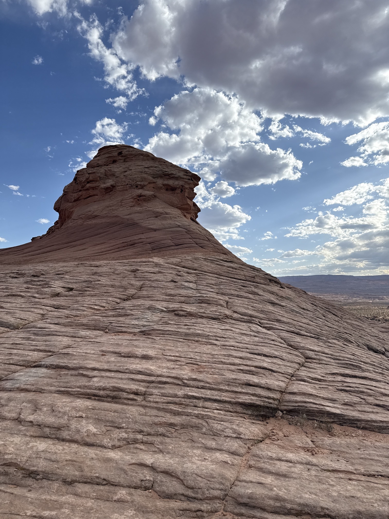 Beehive Trail Loop & New Wave