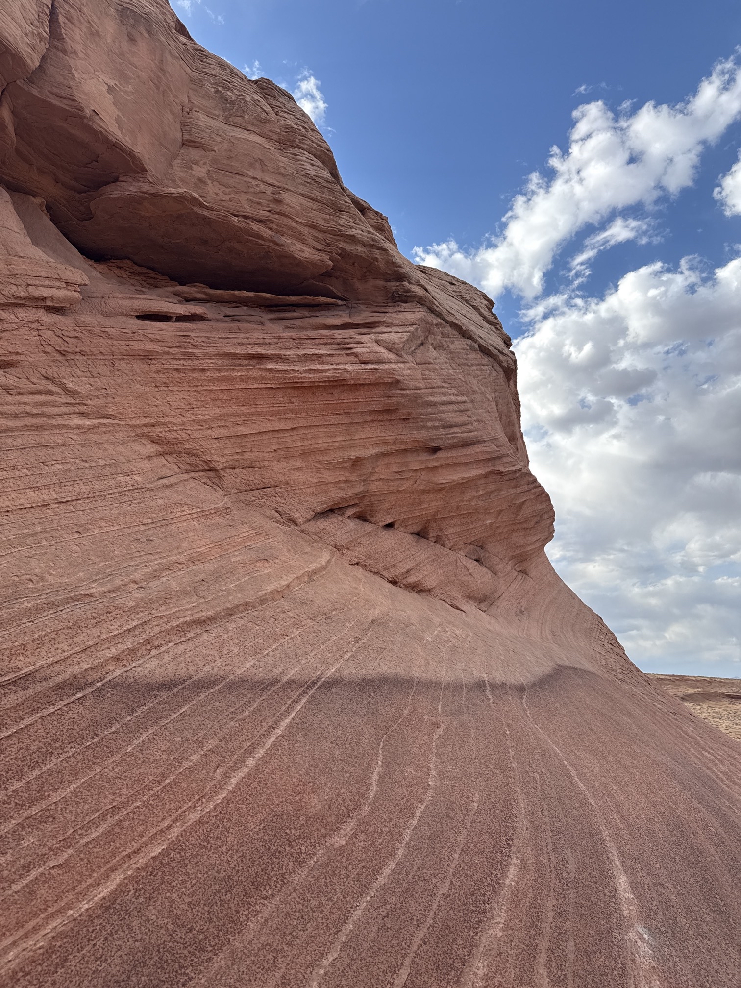 Beehive Trail Loop & New Wave