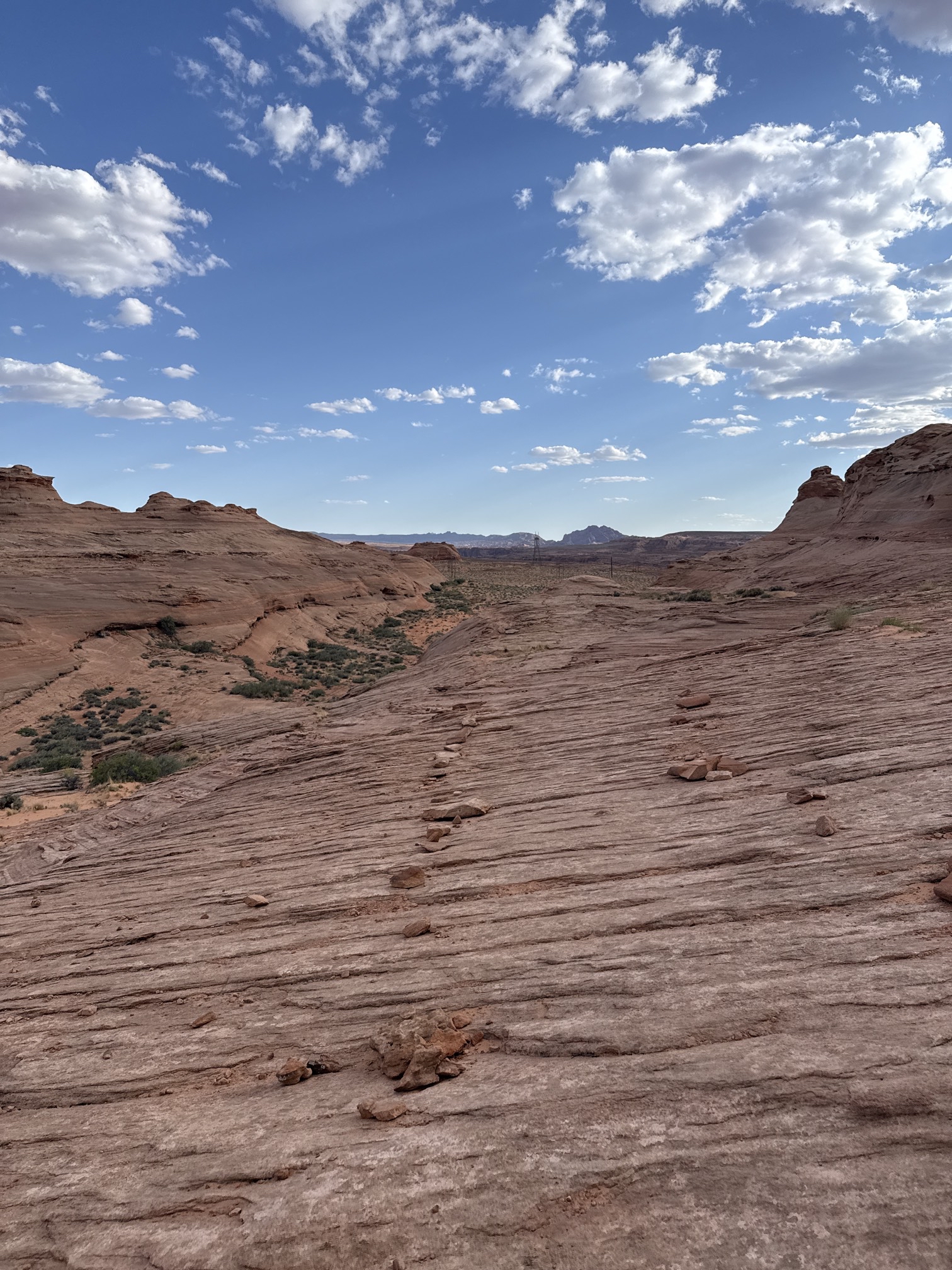 Beehive Trail Loop & New Wave